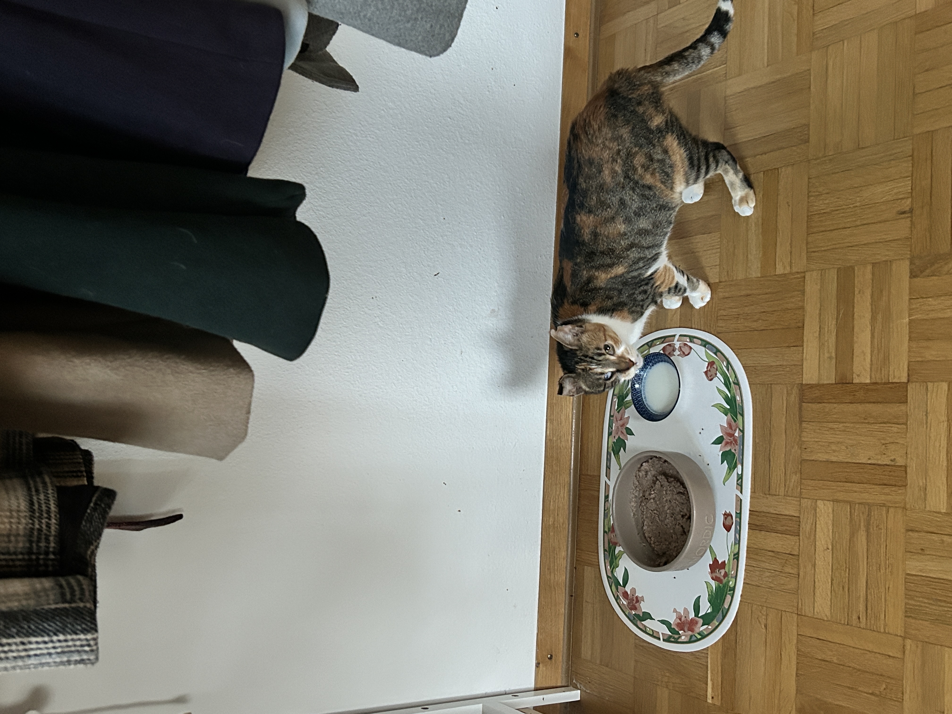 image-40