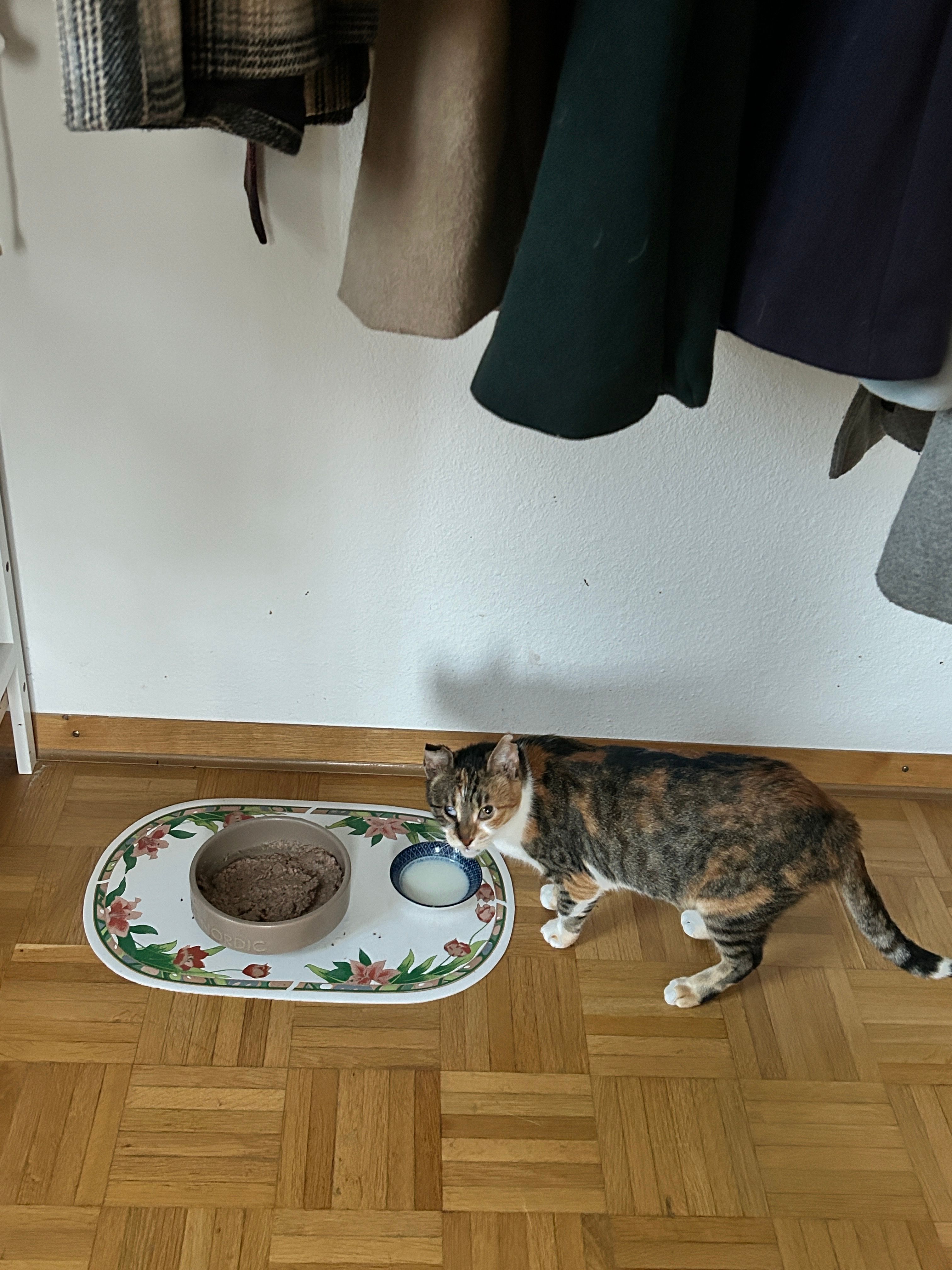 image-40