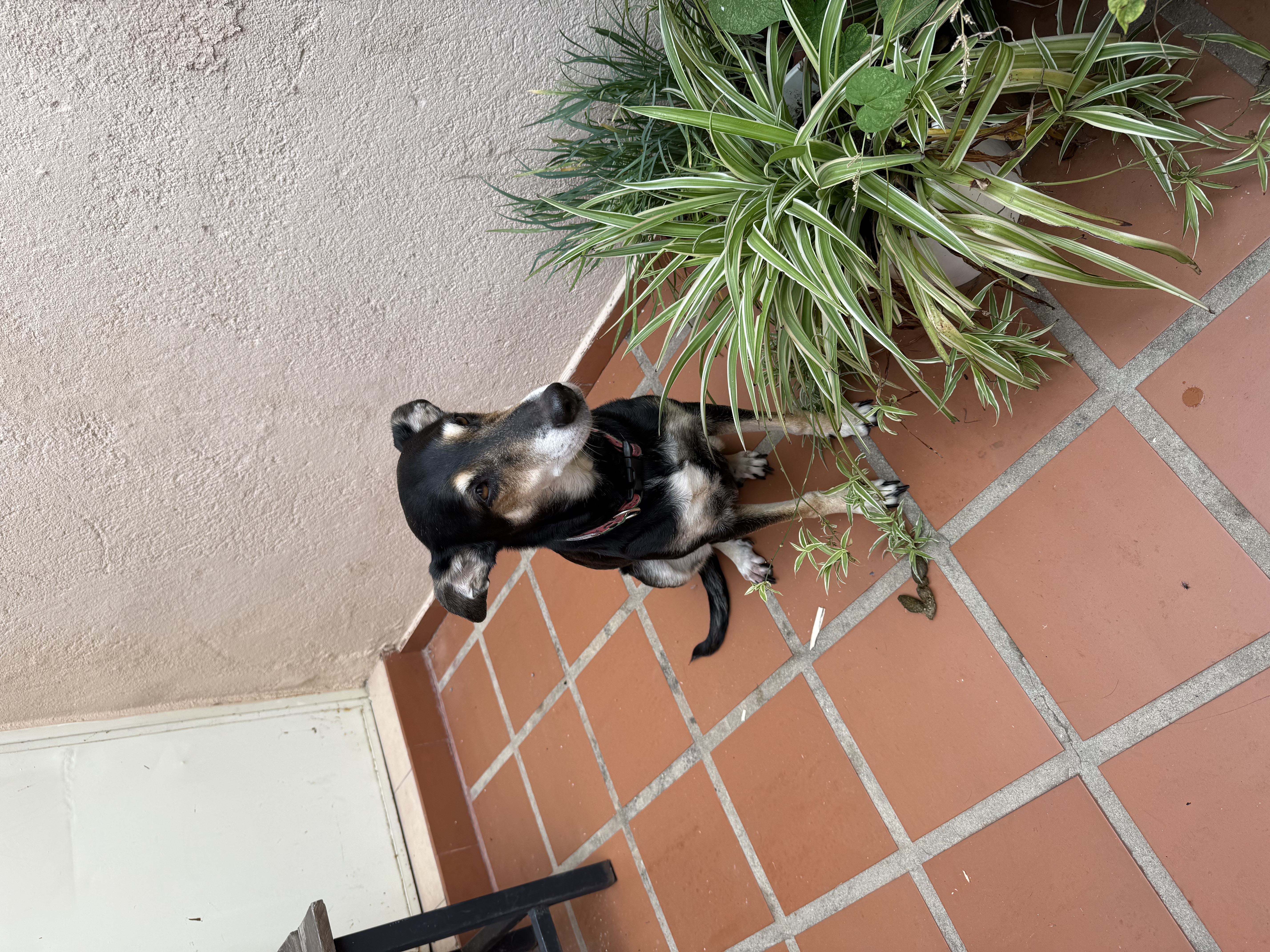 image-7