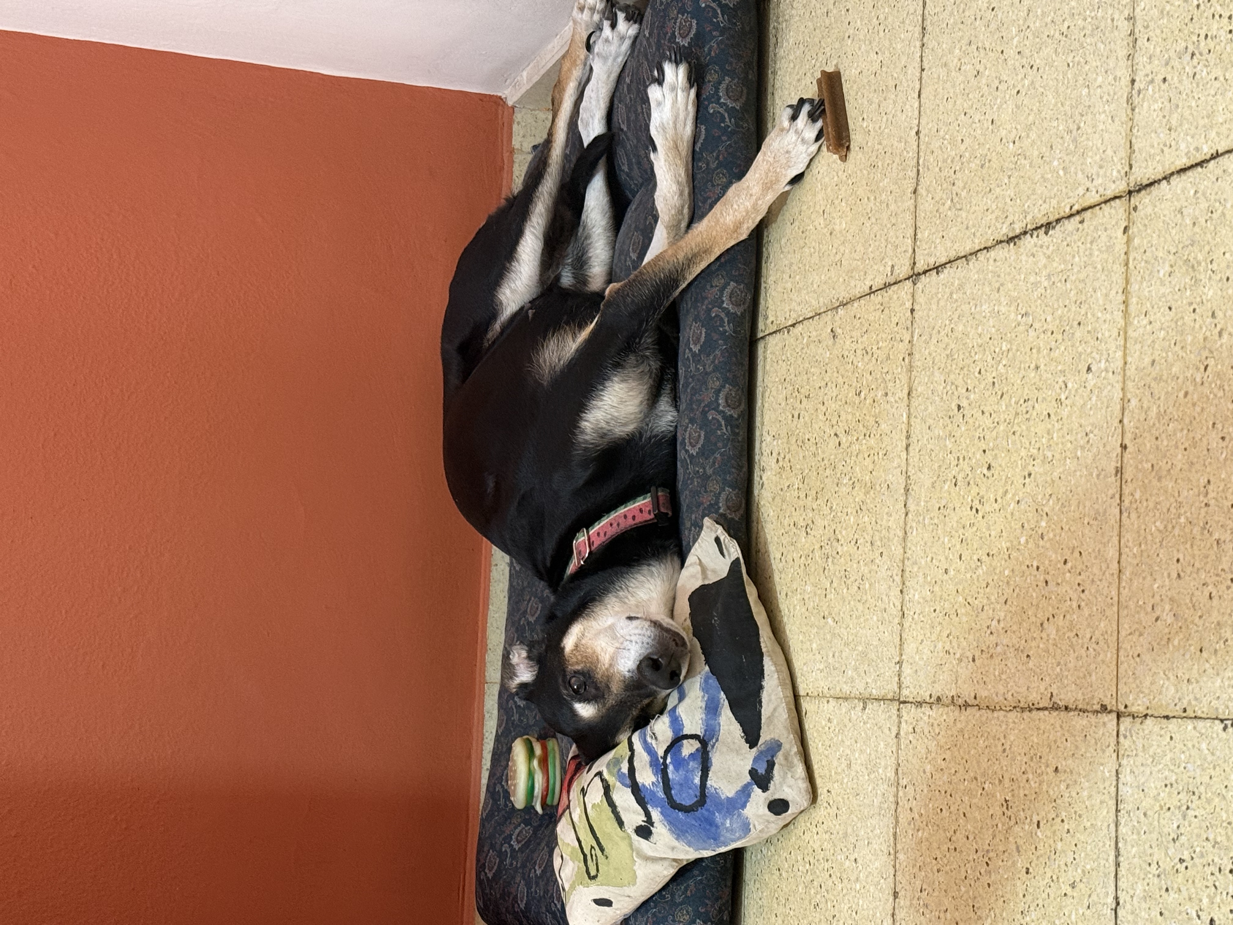 image-13