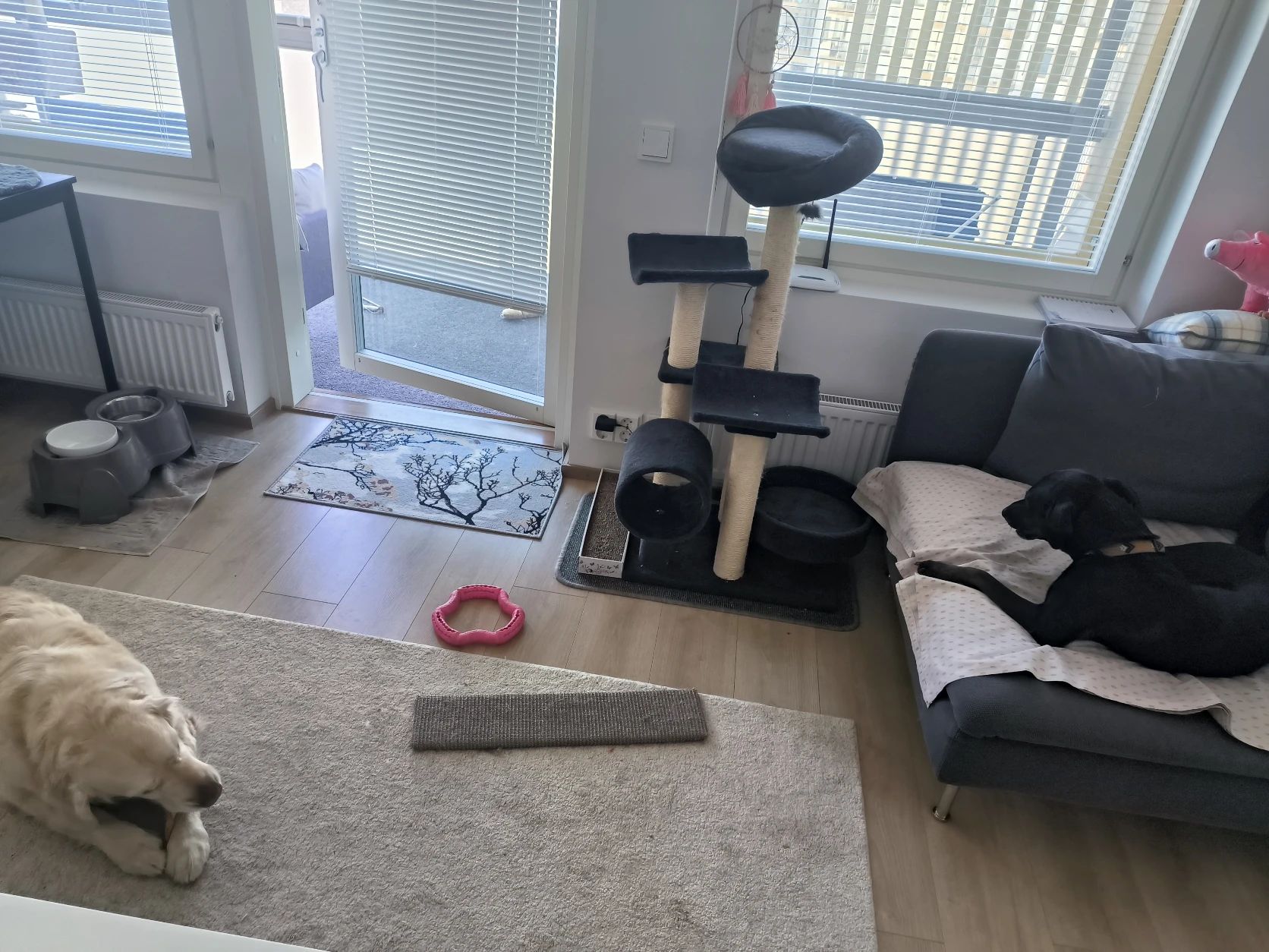 image-11