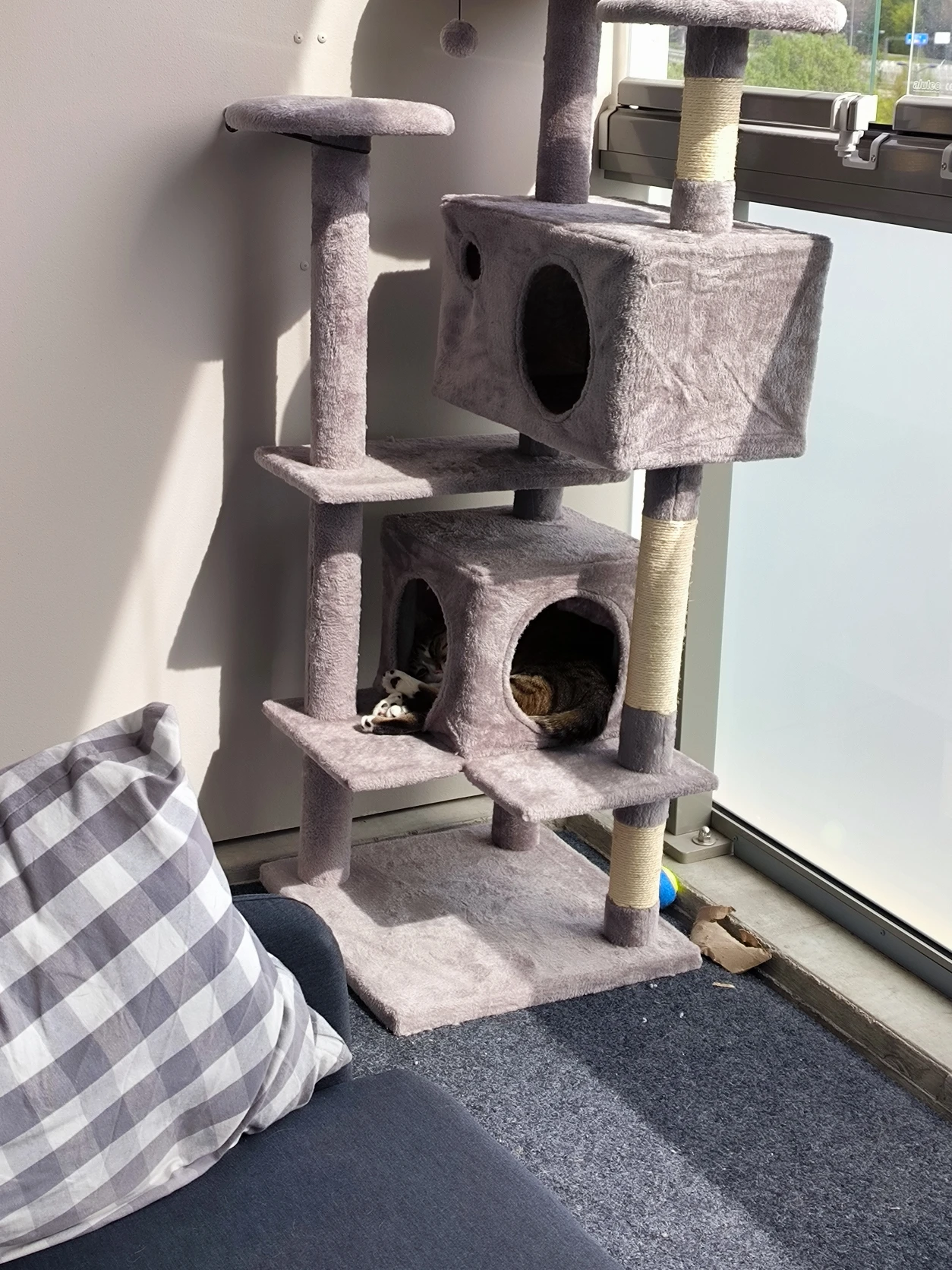 image-15