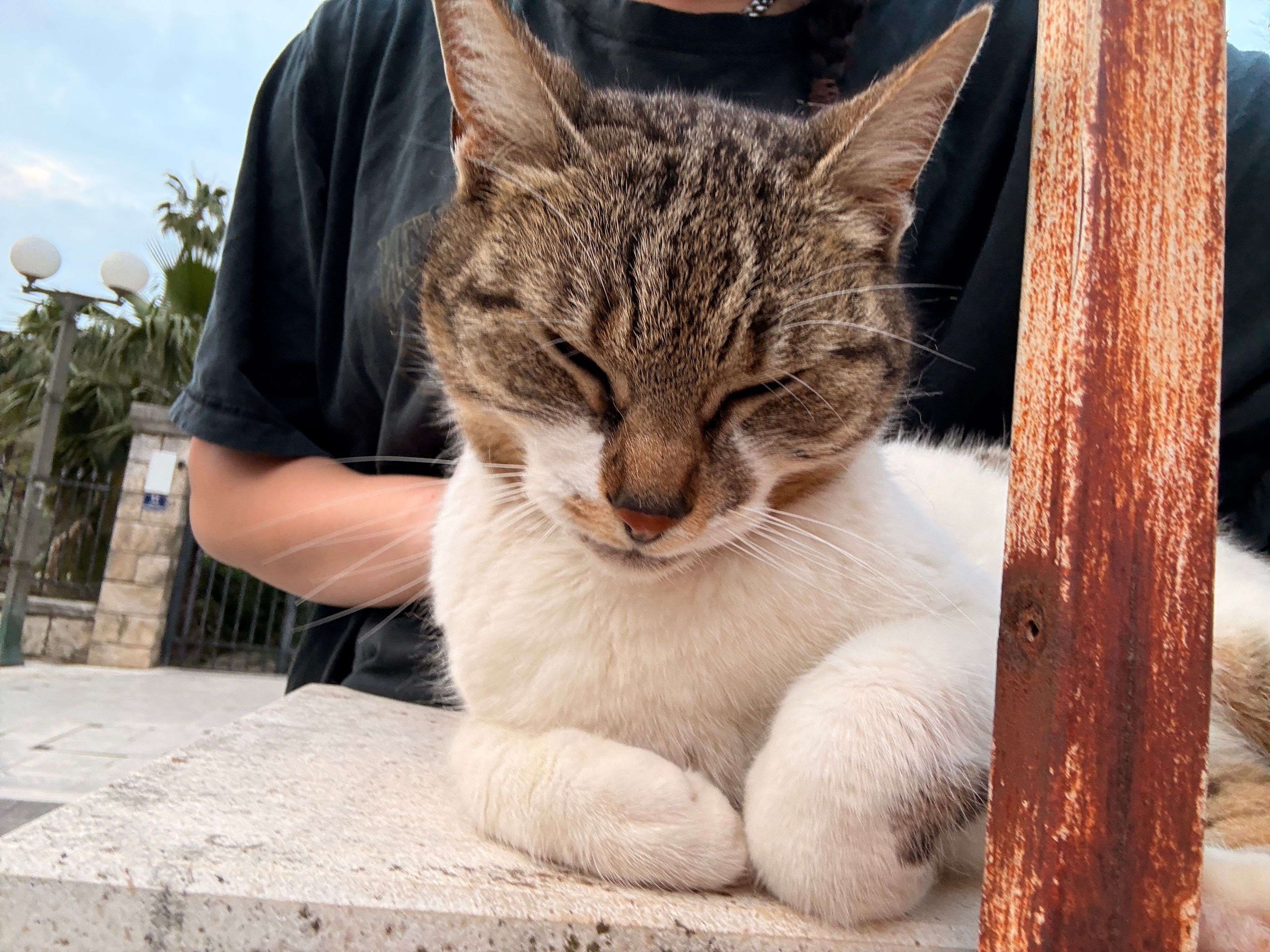 image-7