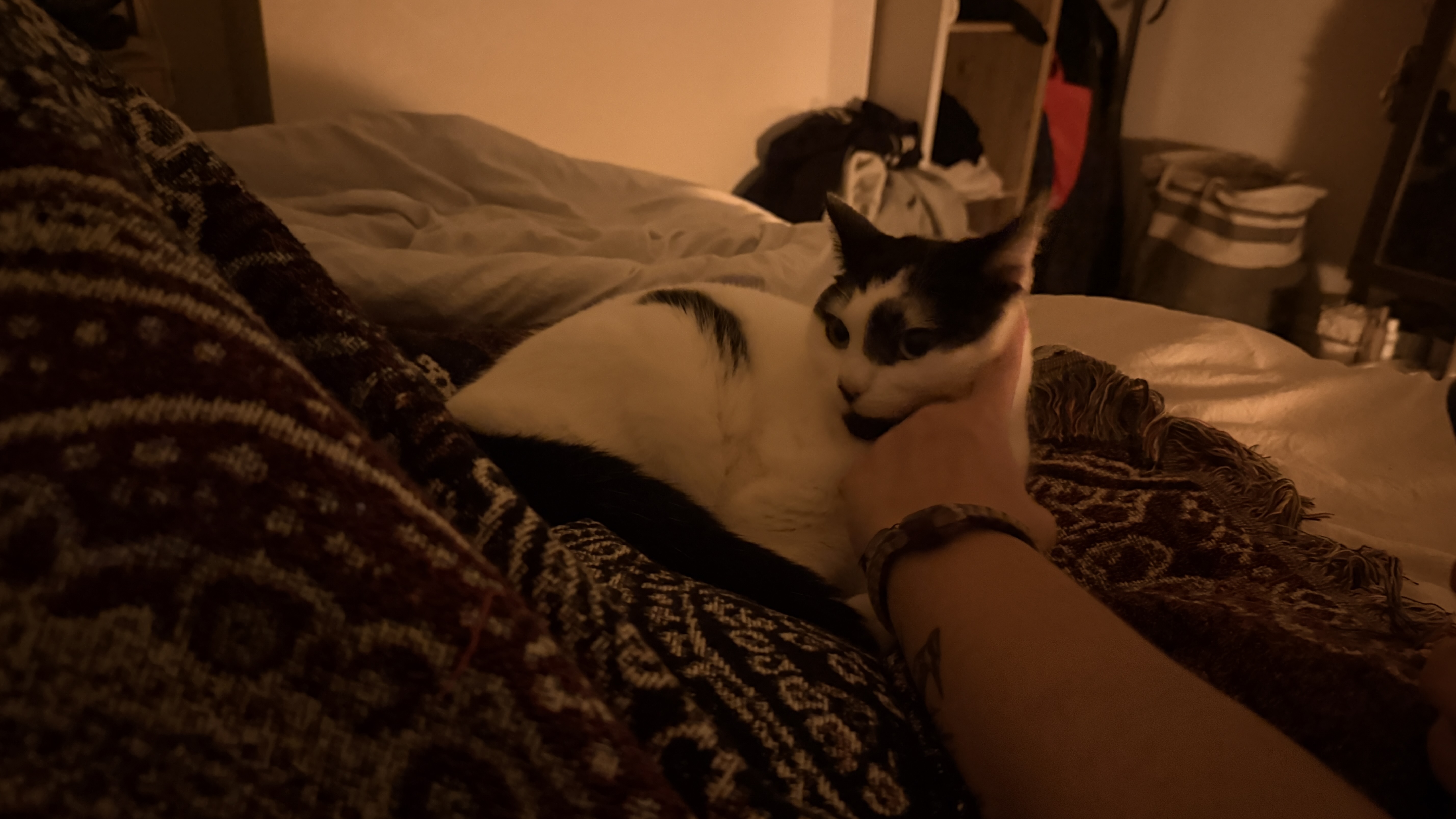 image-5