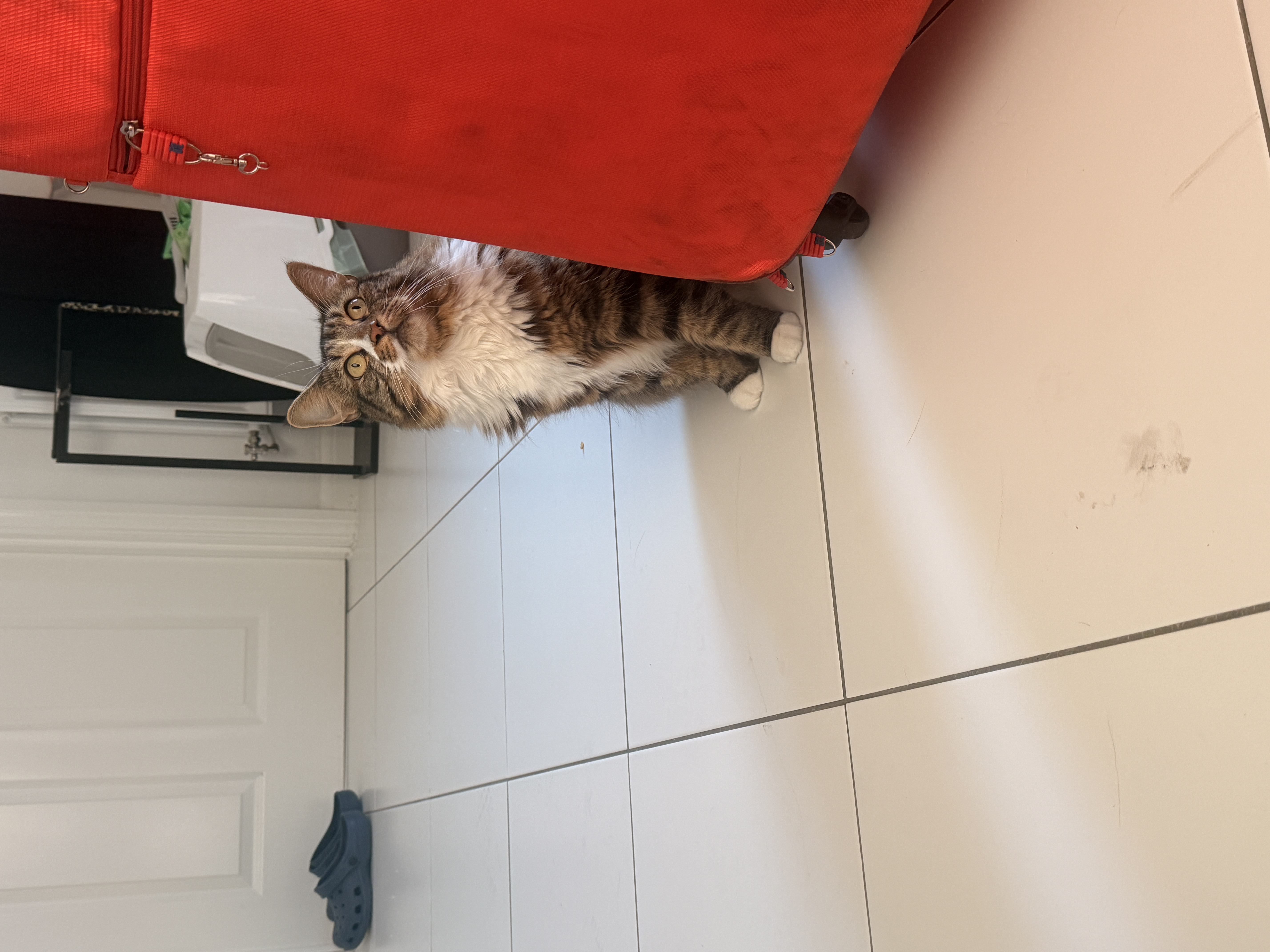 image-12