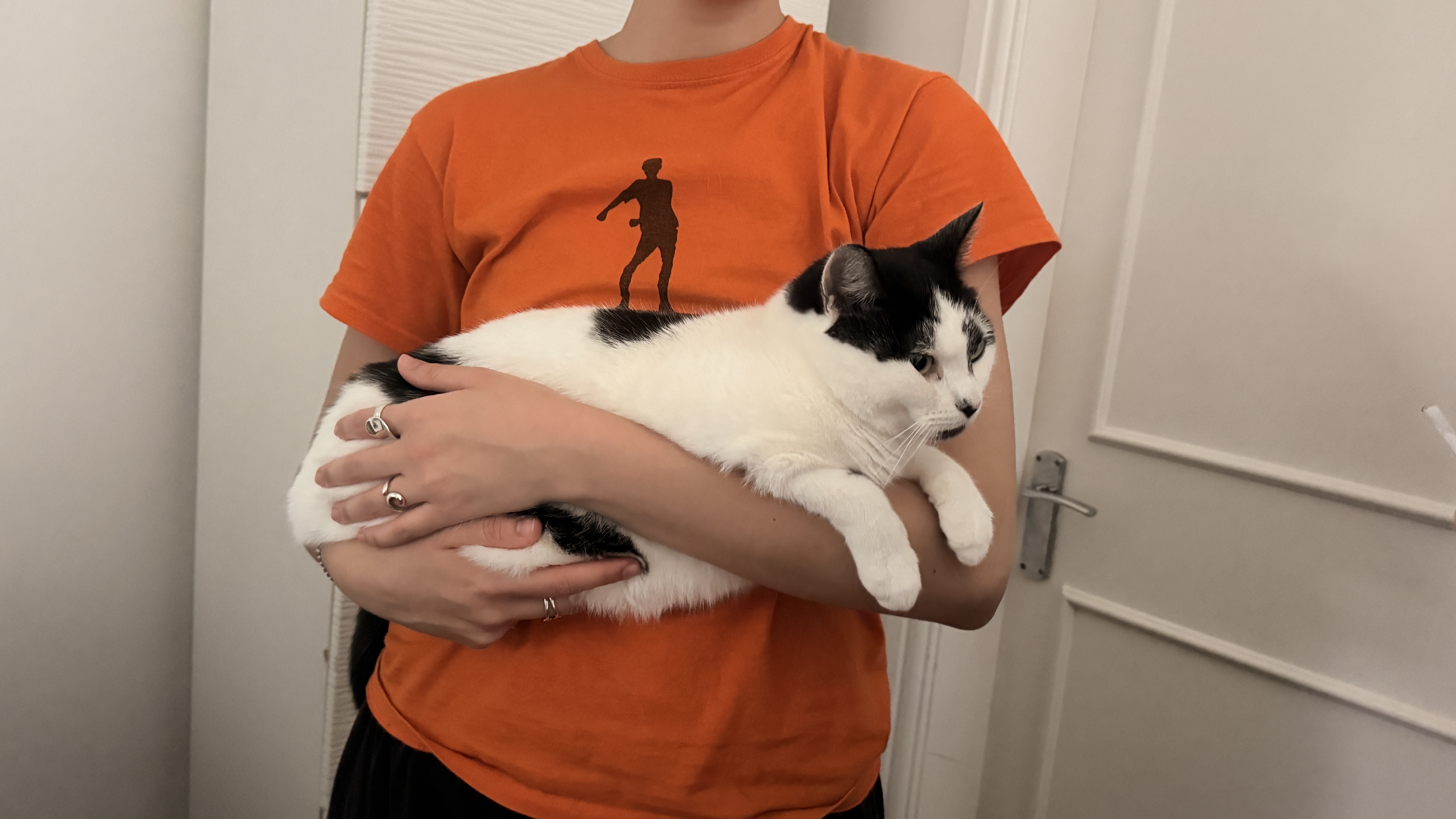 image-11