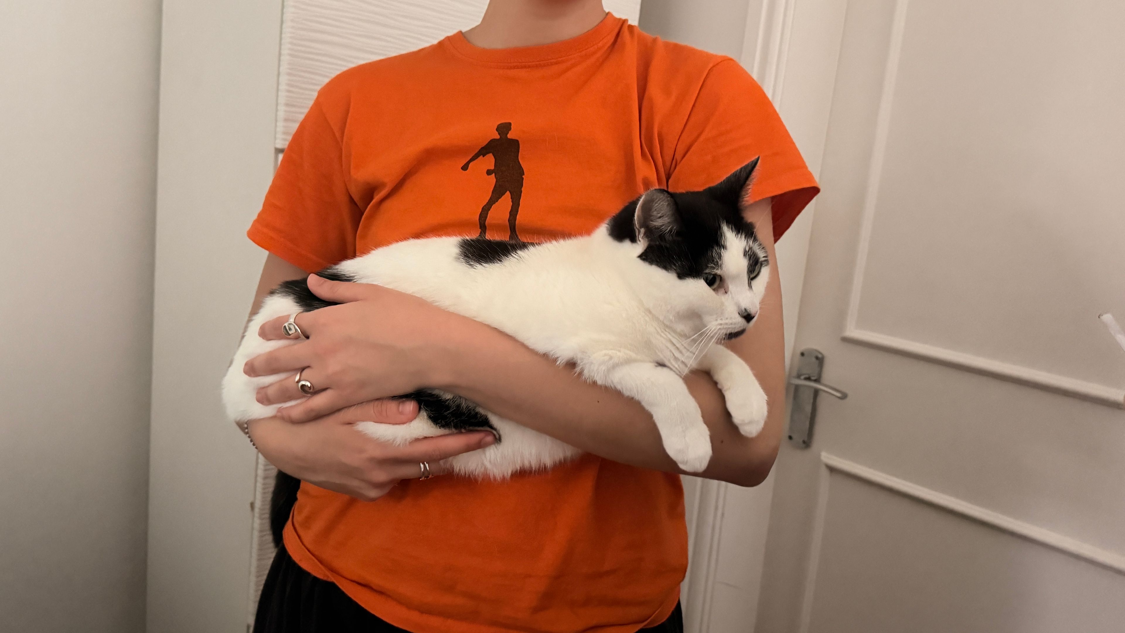 image-11
