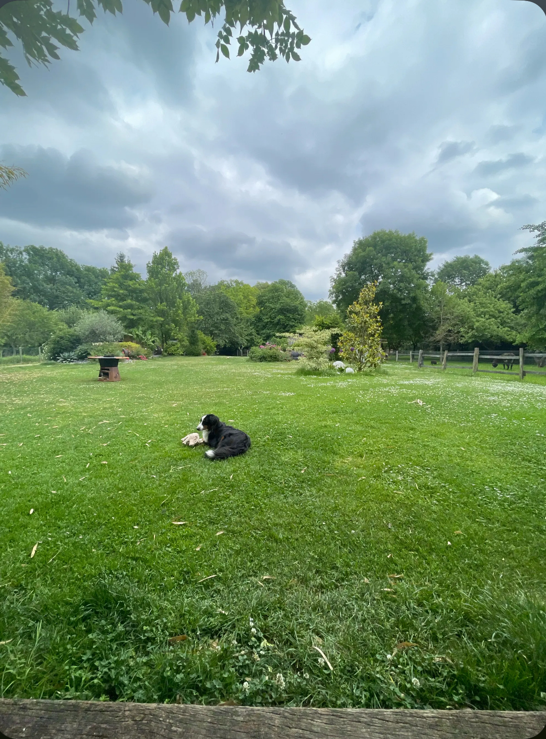 image-13