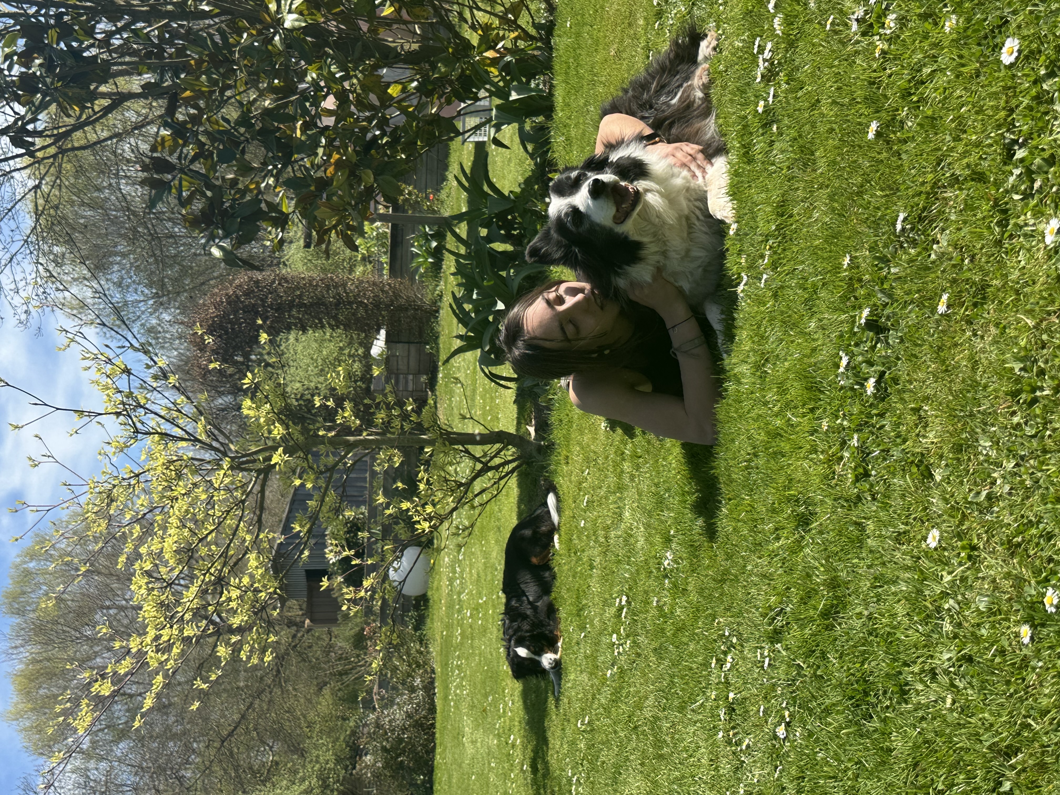 image-0