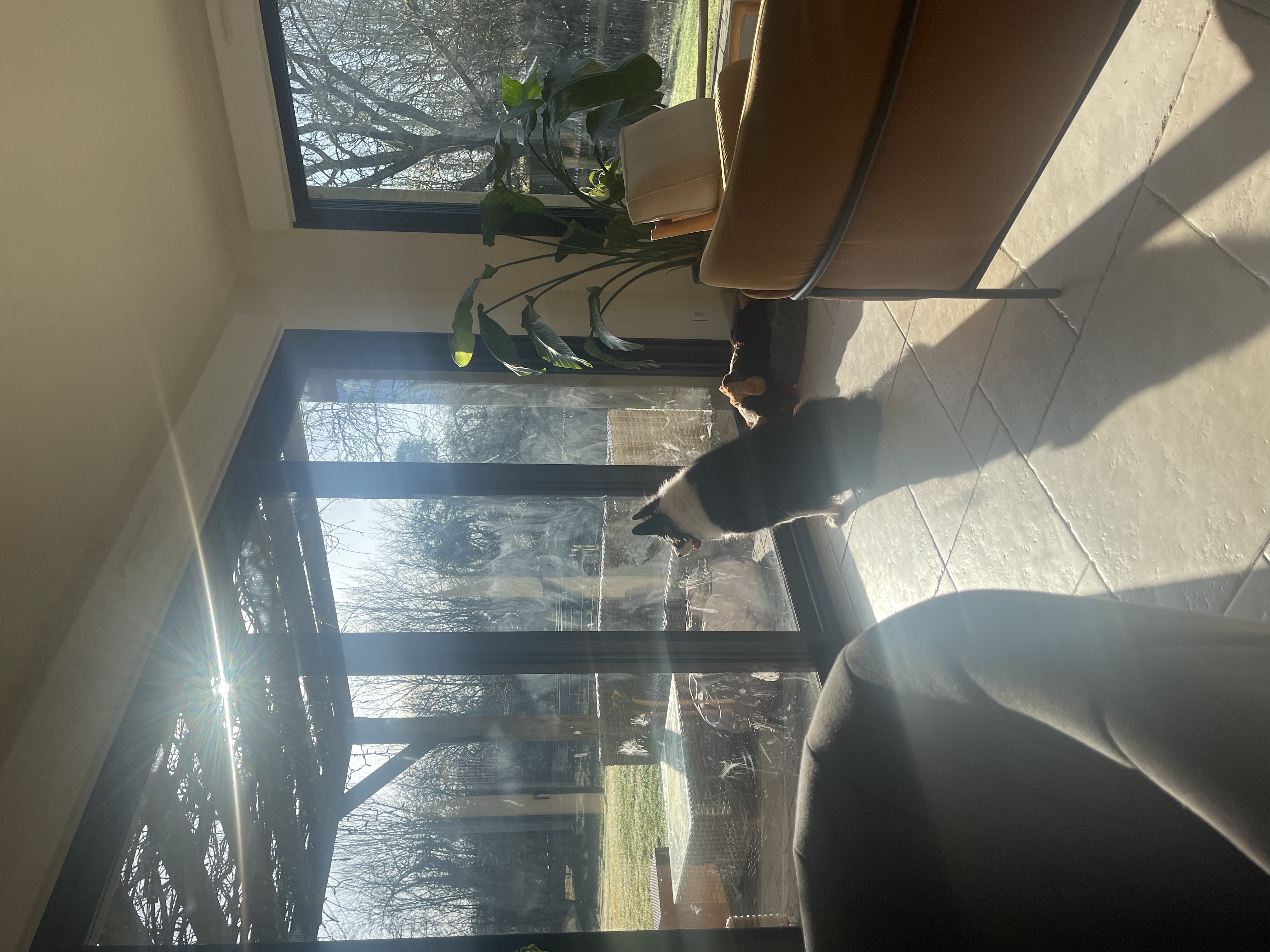 image-18
