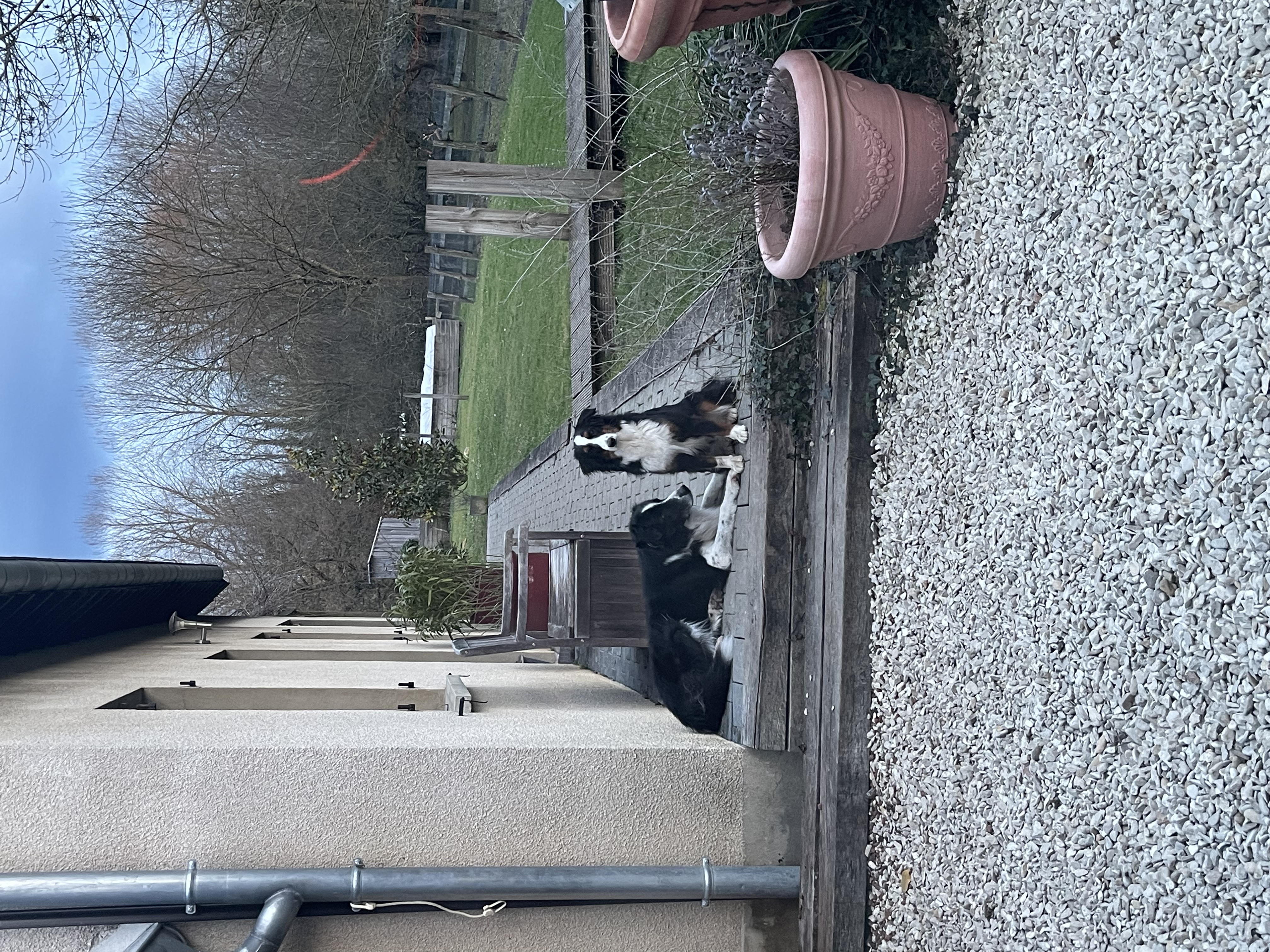 image-19