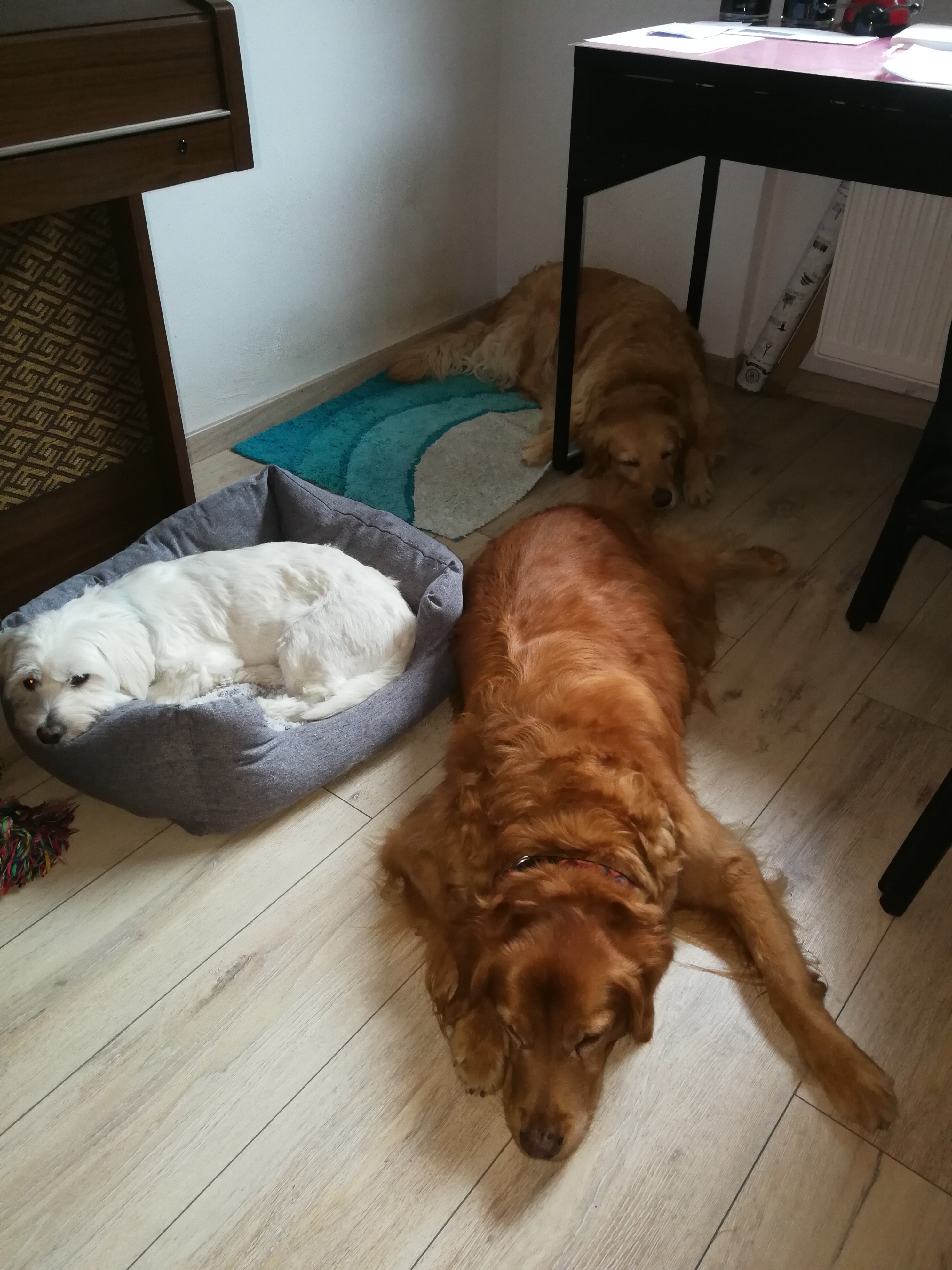image-20