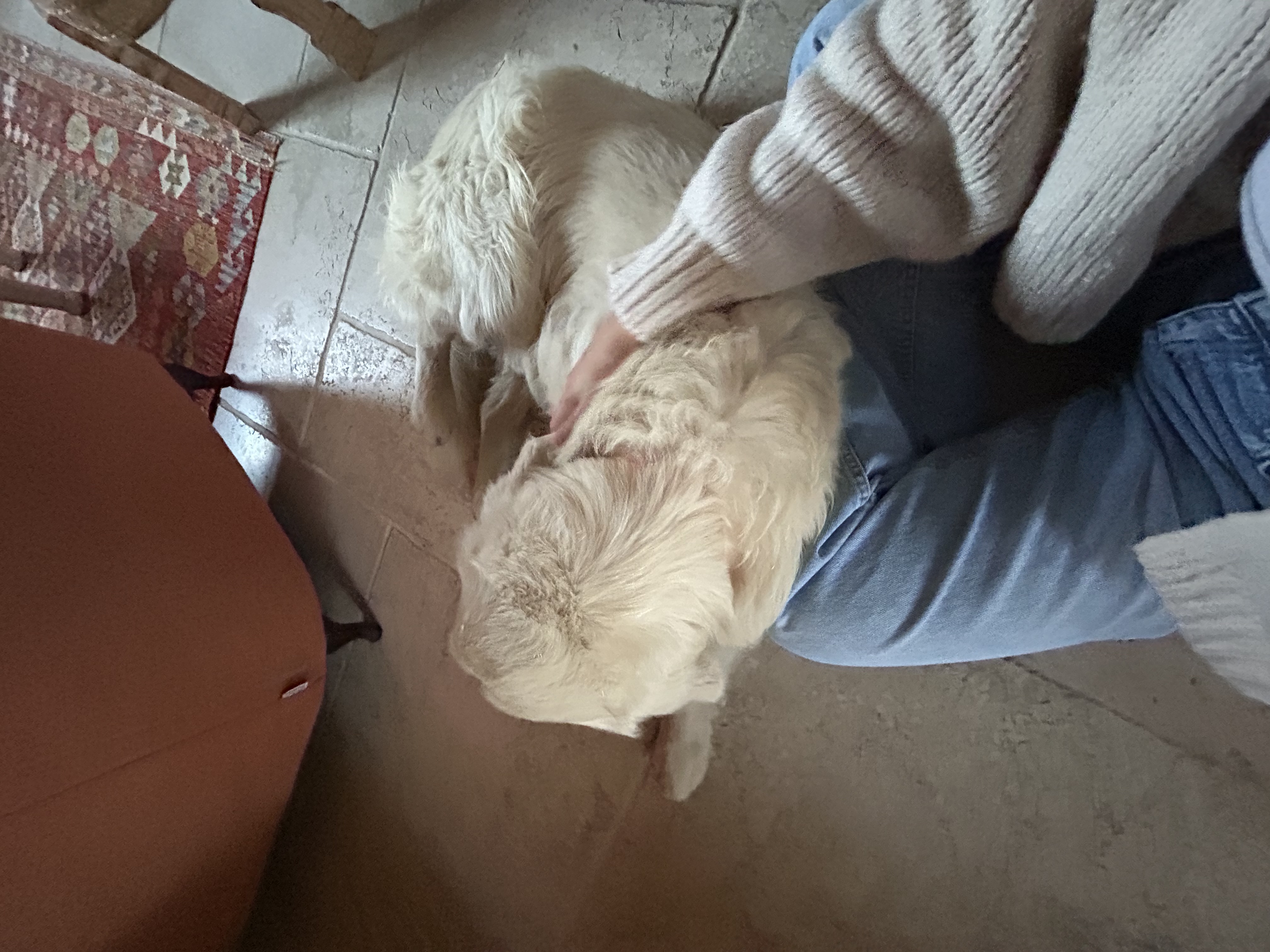 image-5