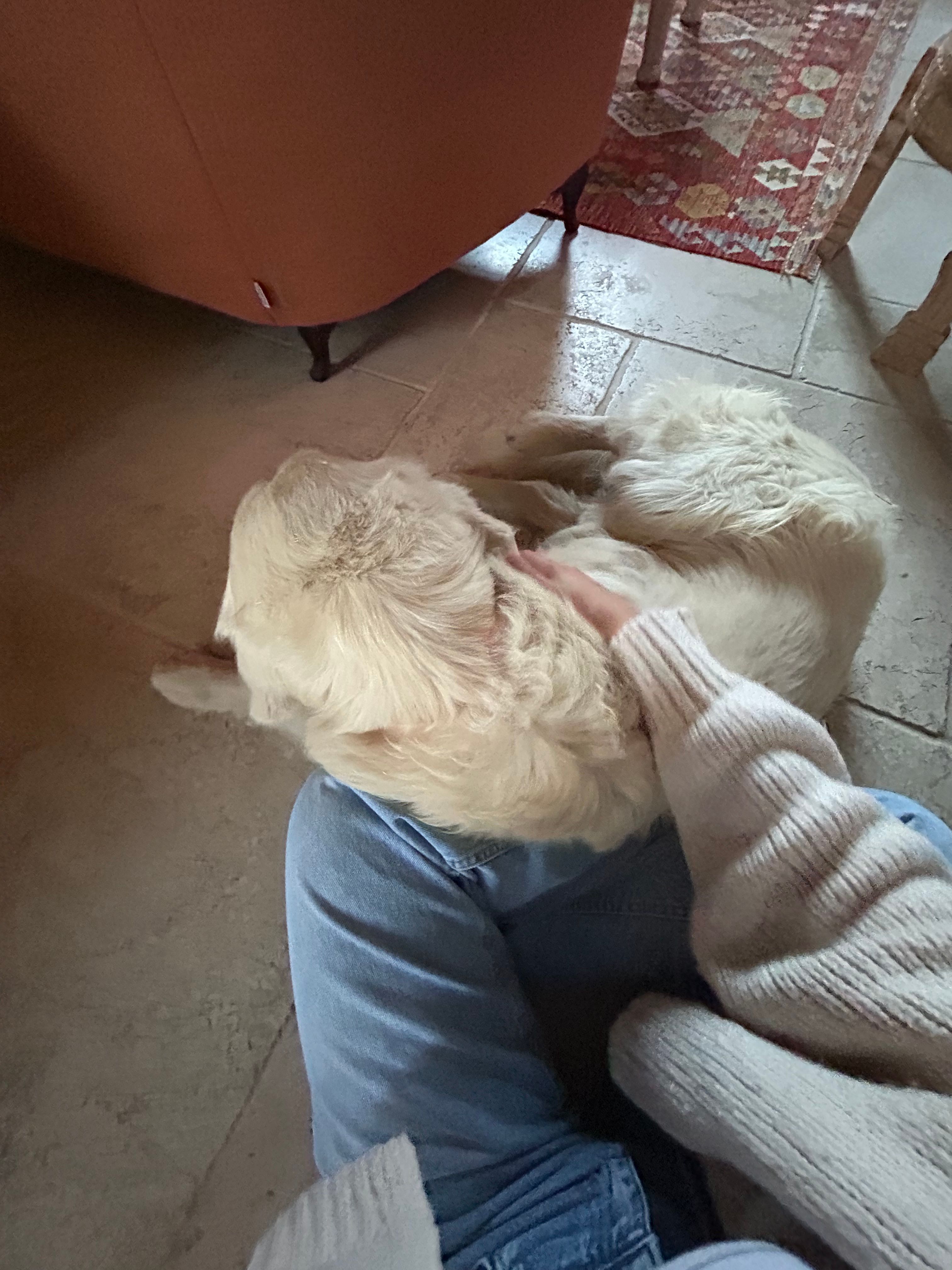 image-5