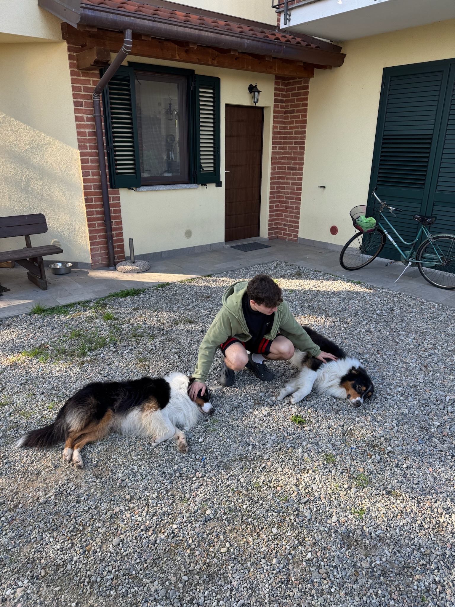 image-5