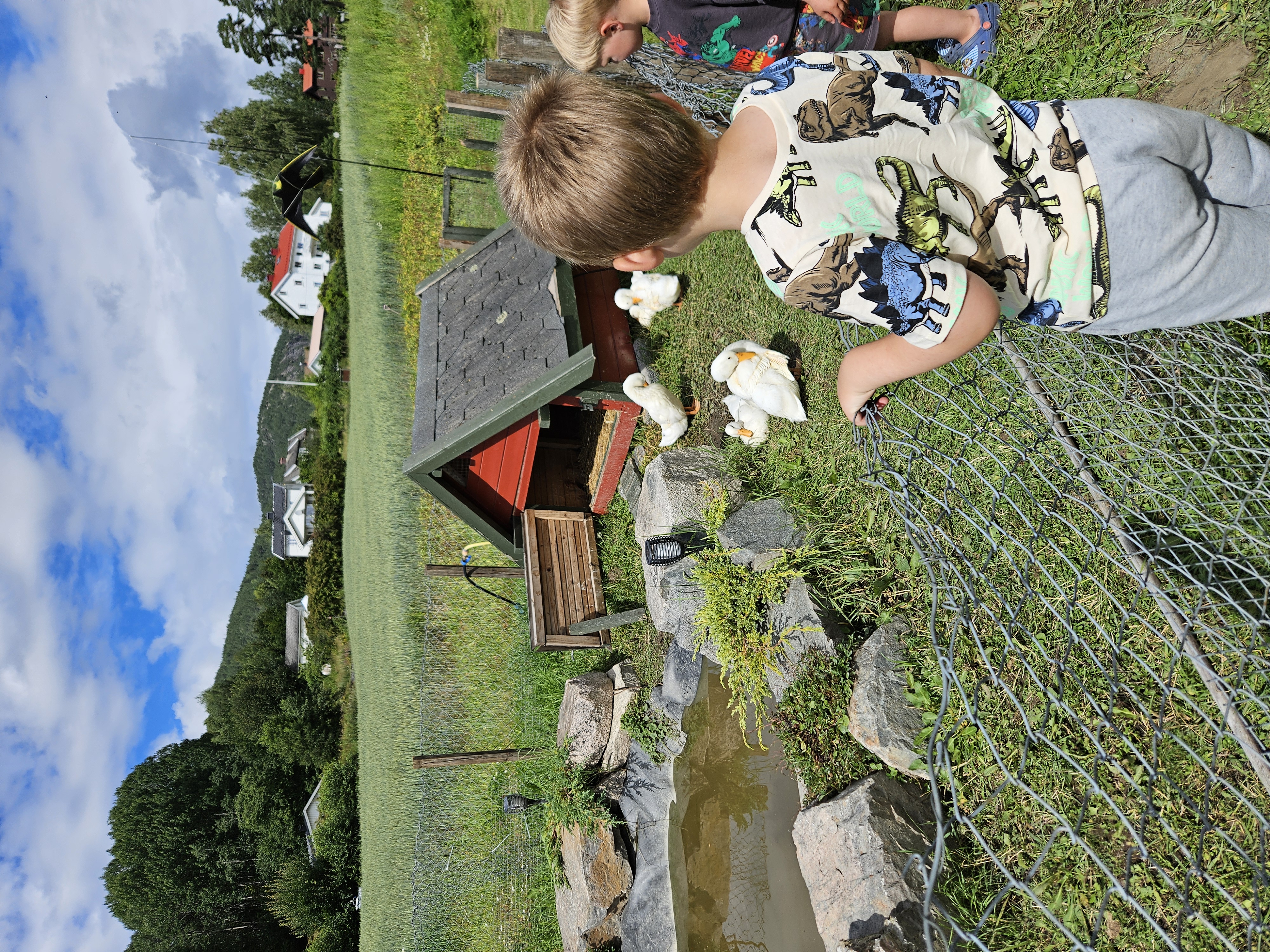 image-7