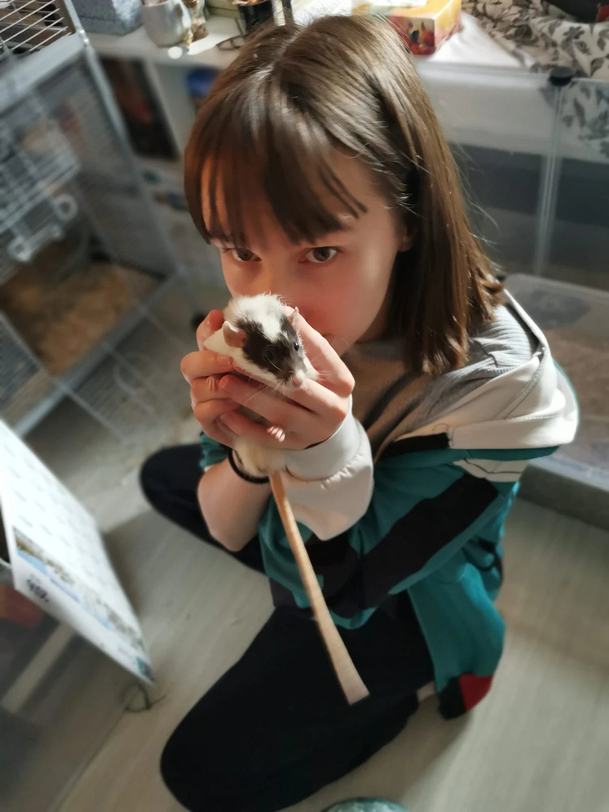 image-3