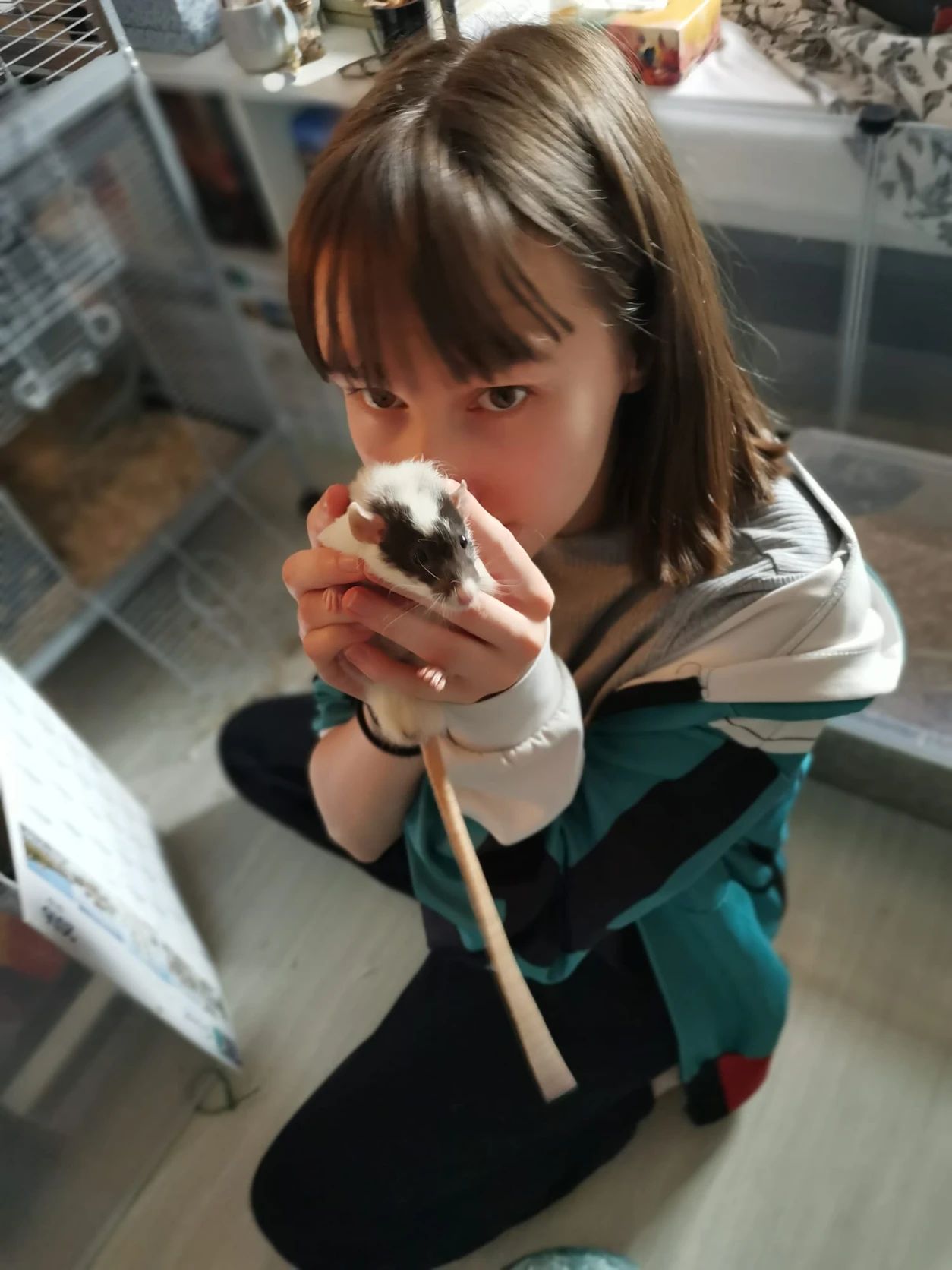 image-3