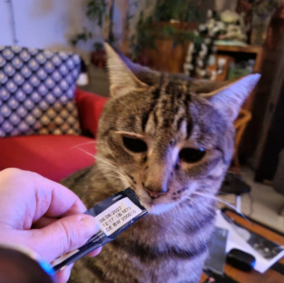 gumball