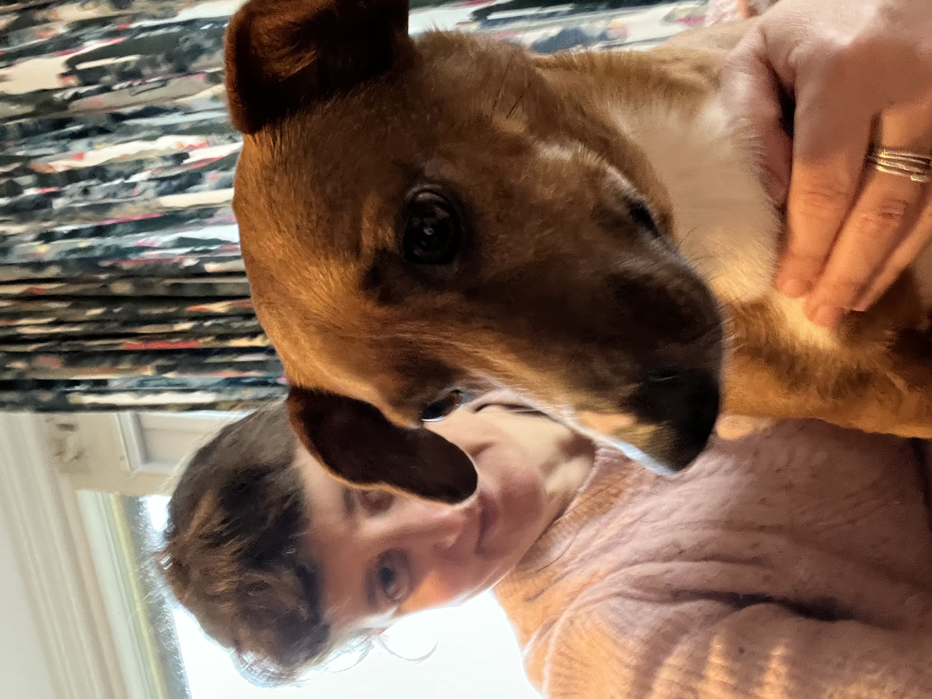 image-10