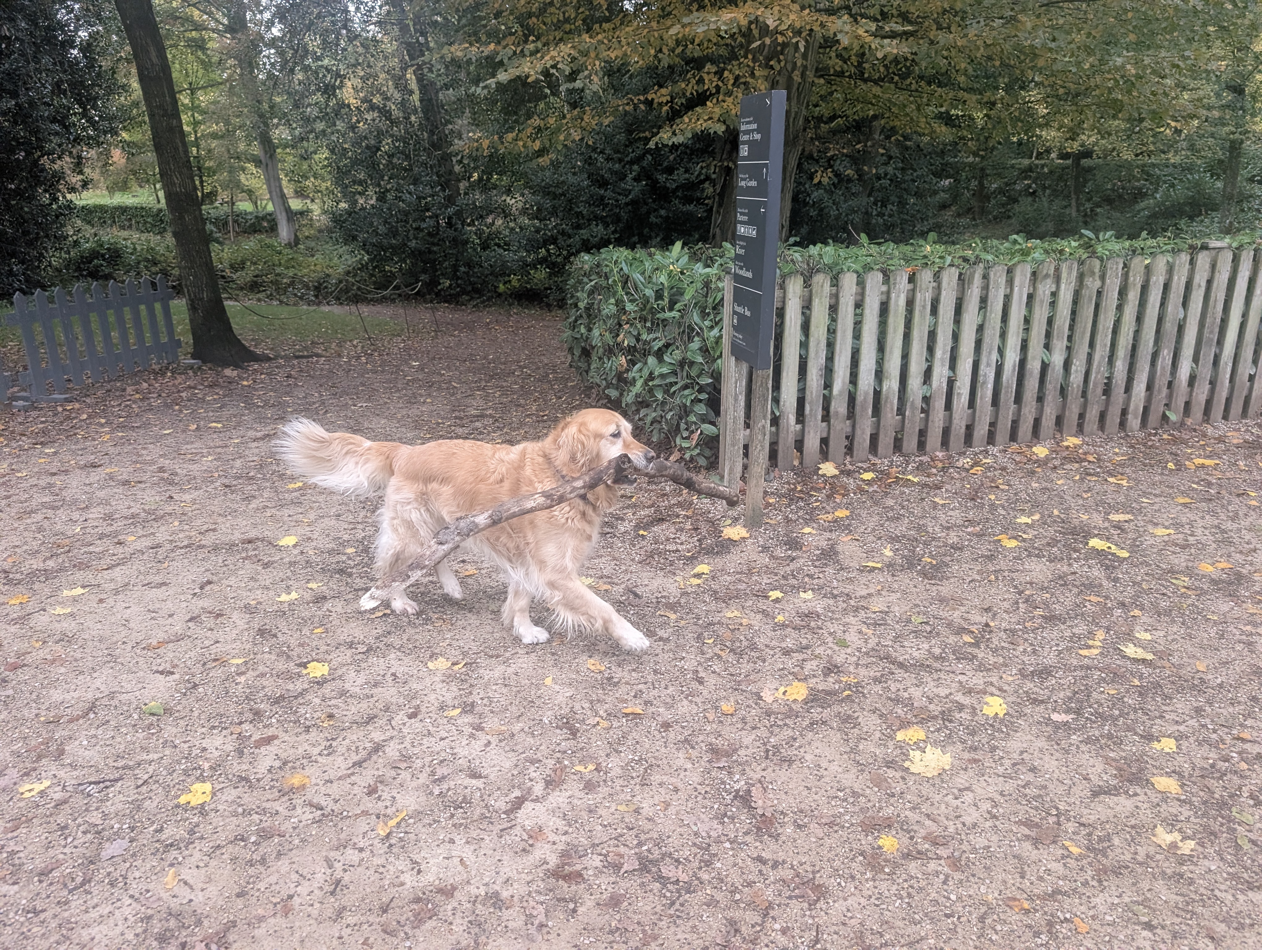 image-16