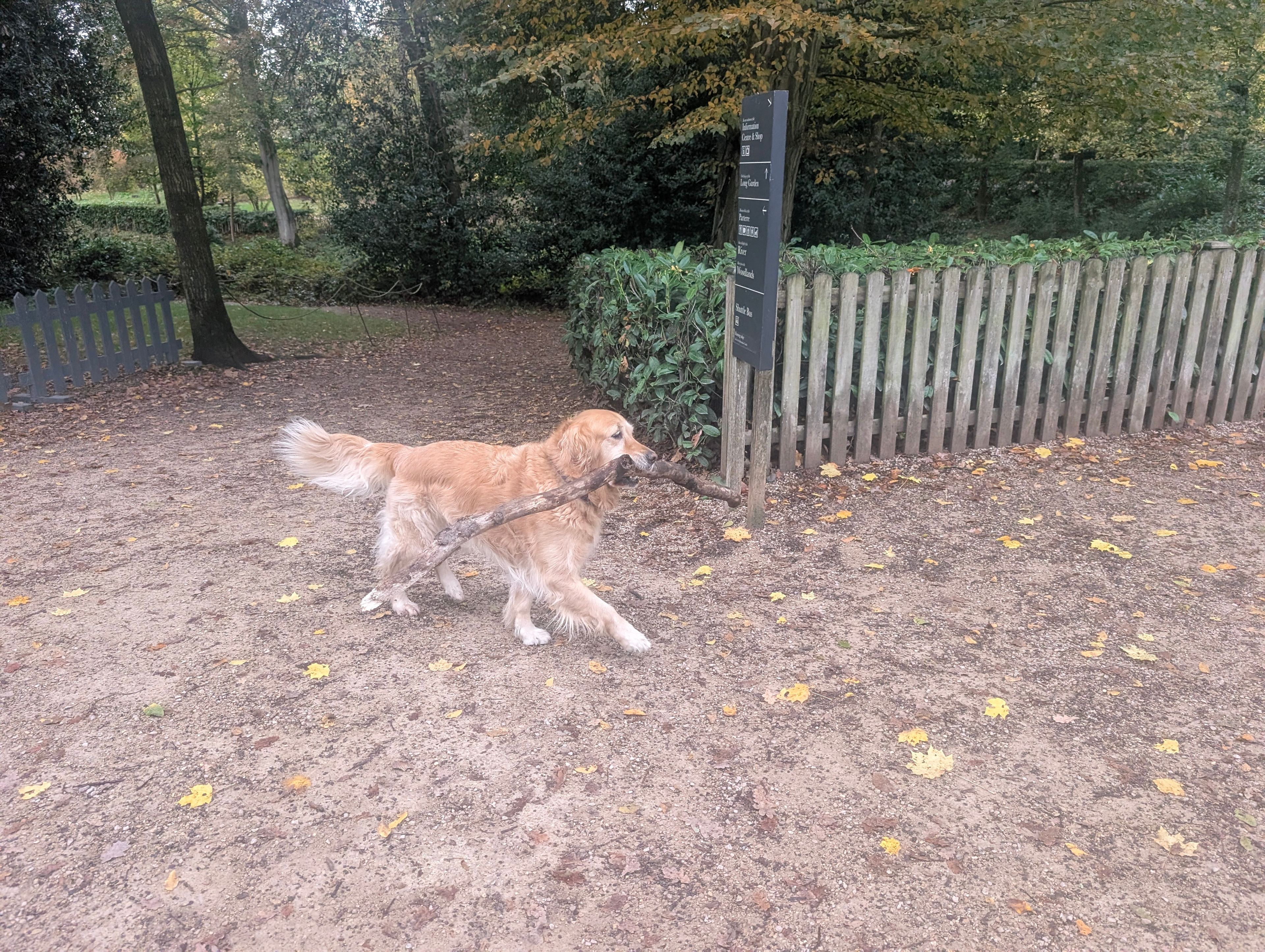 image-16