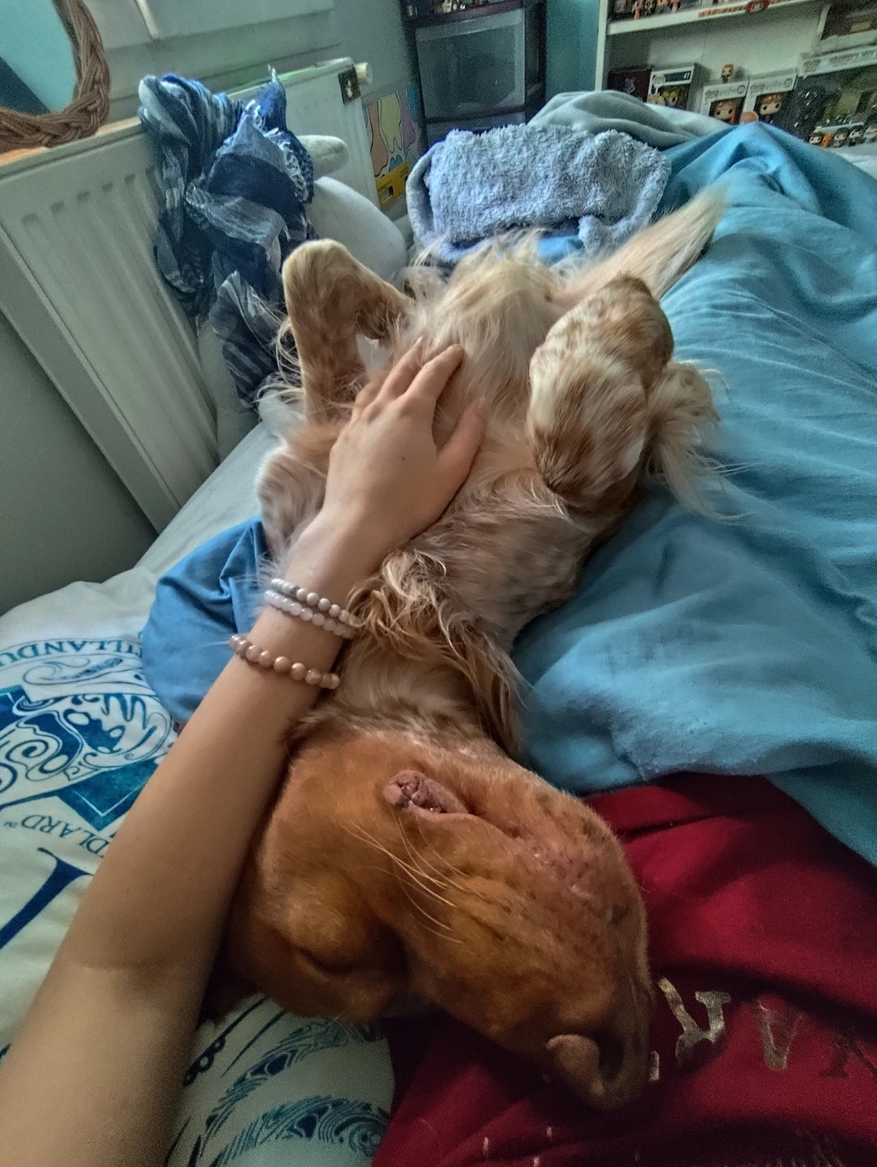 image-5