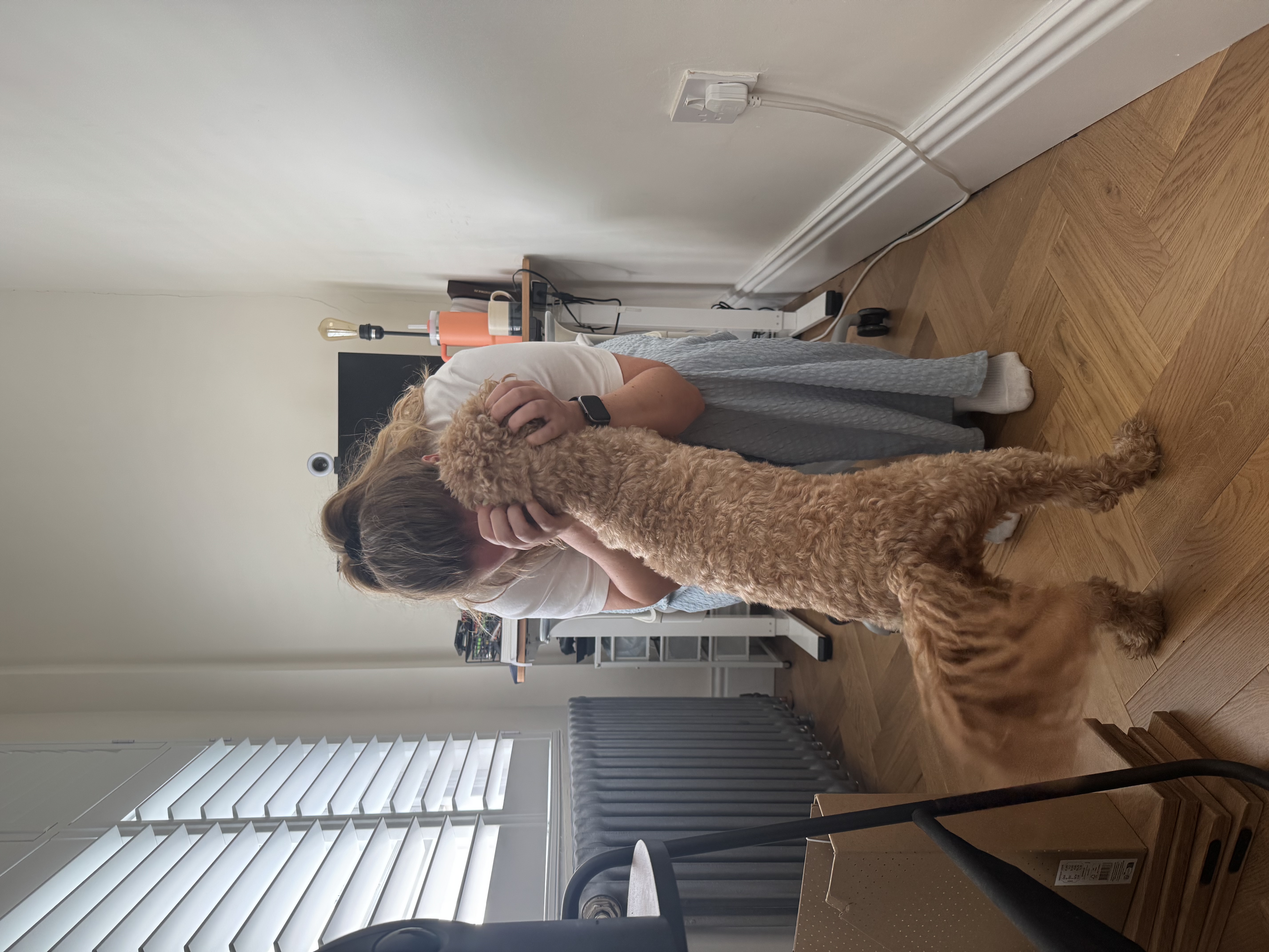 image-8