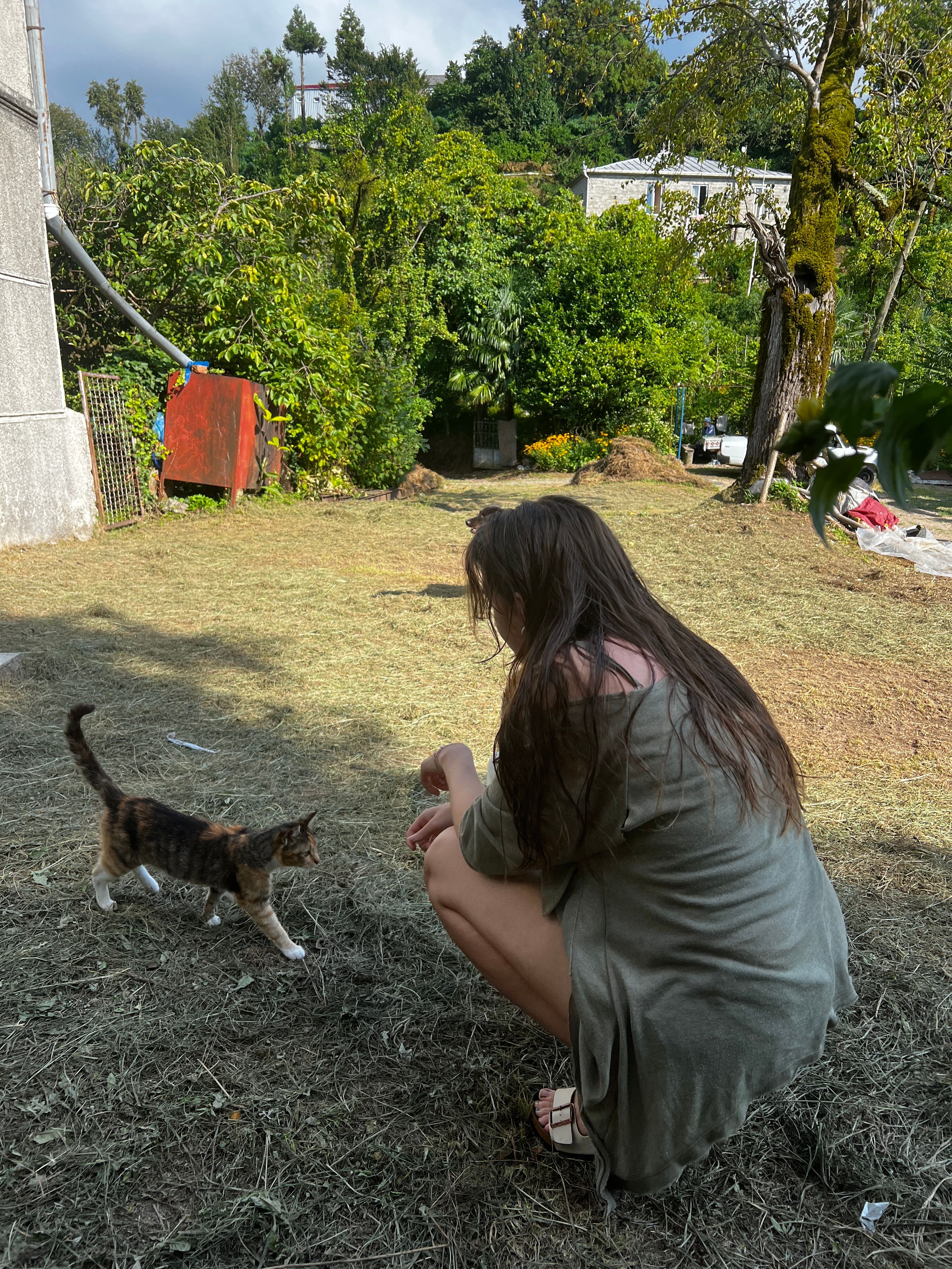 image-5