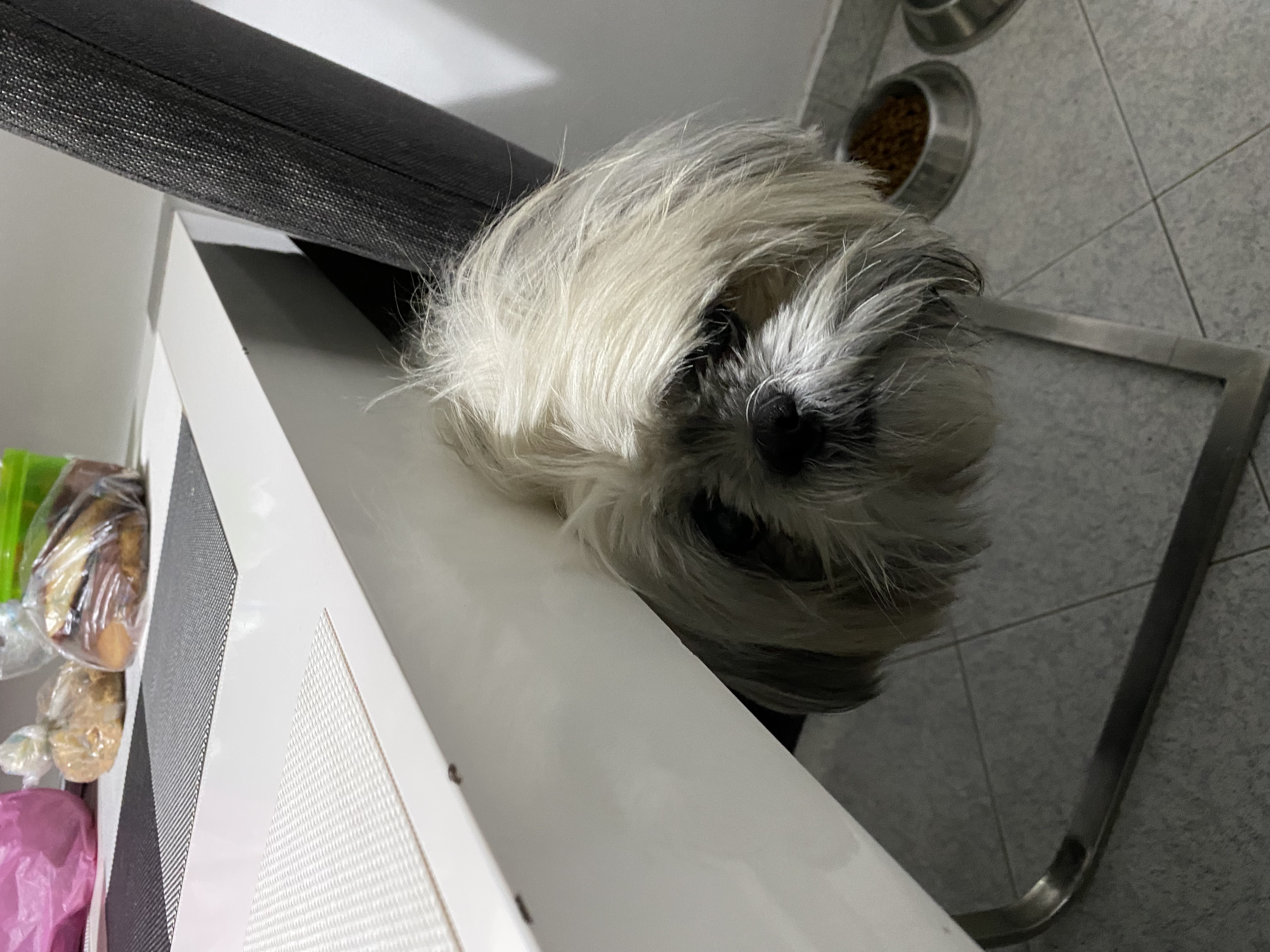 image-7