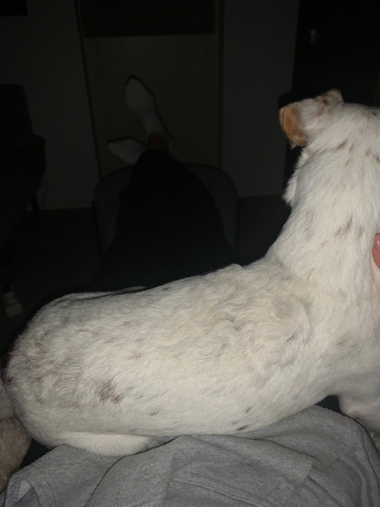 image-8