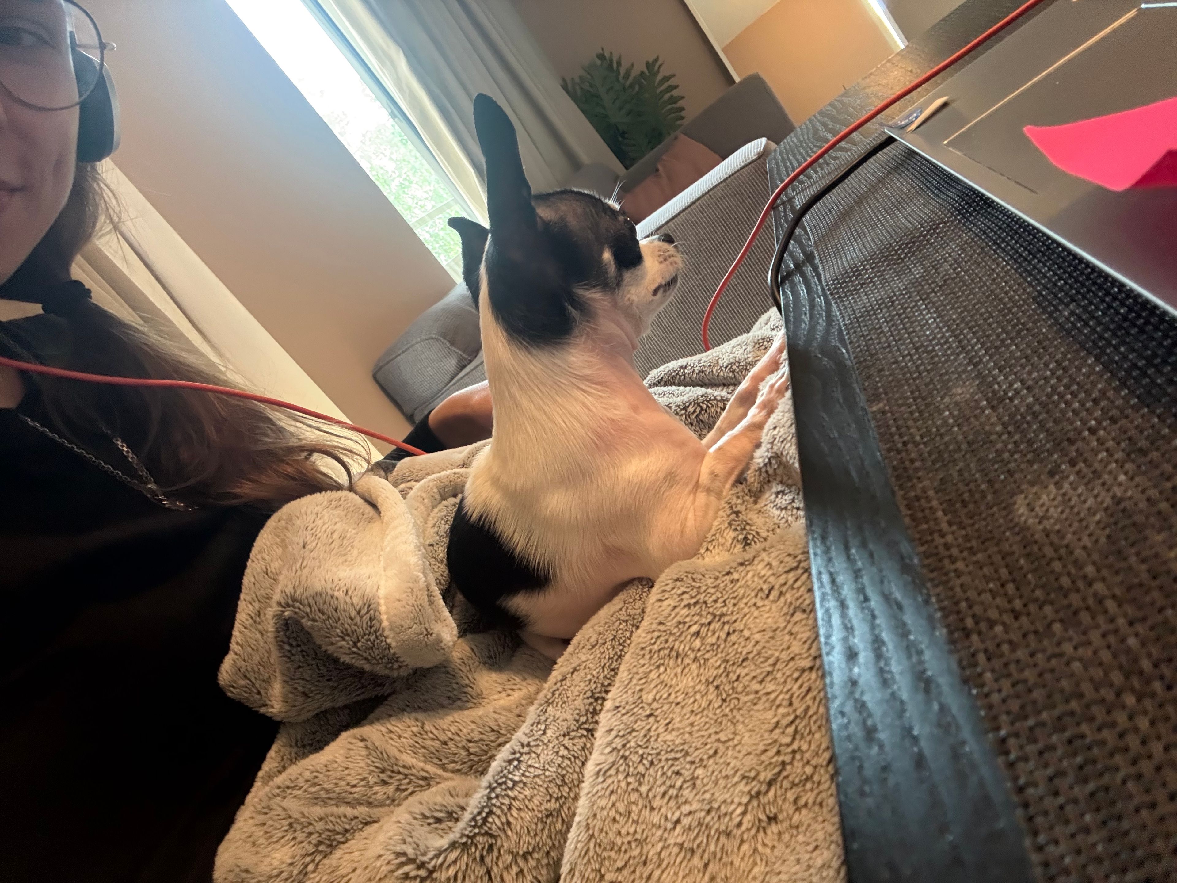 image-13