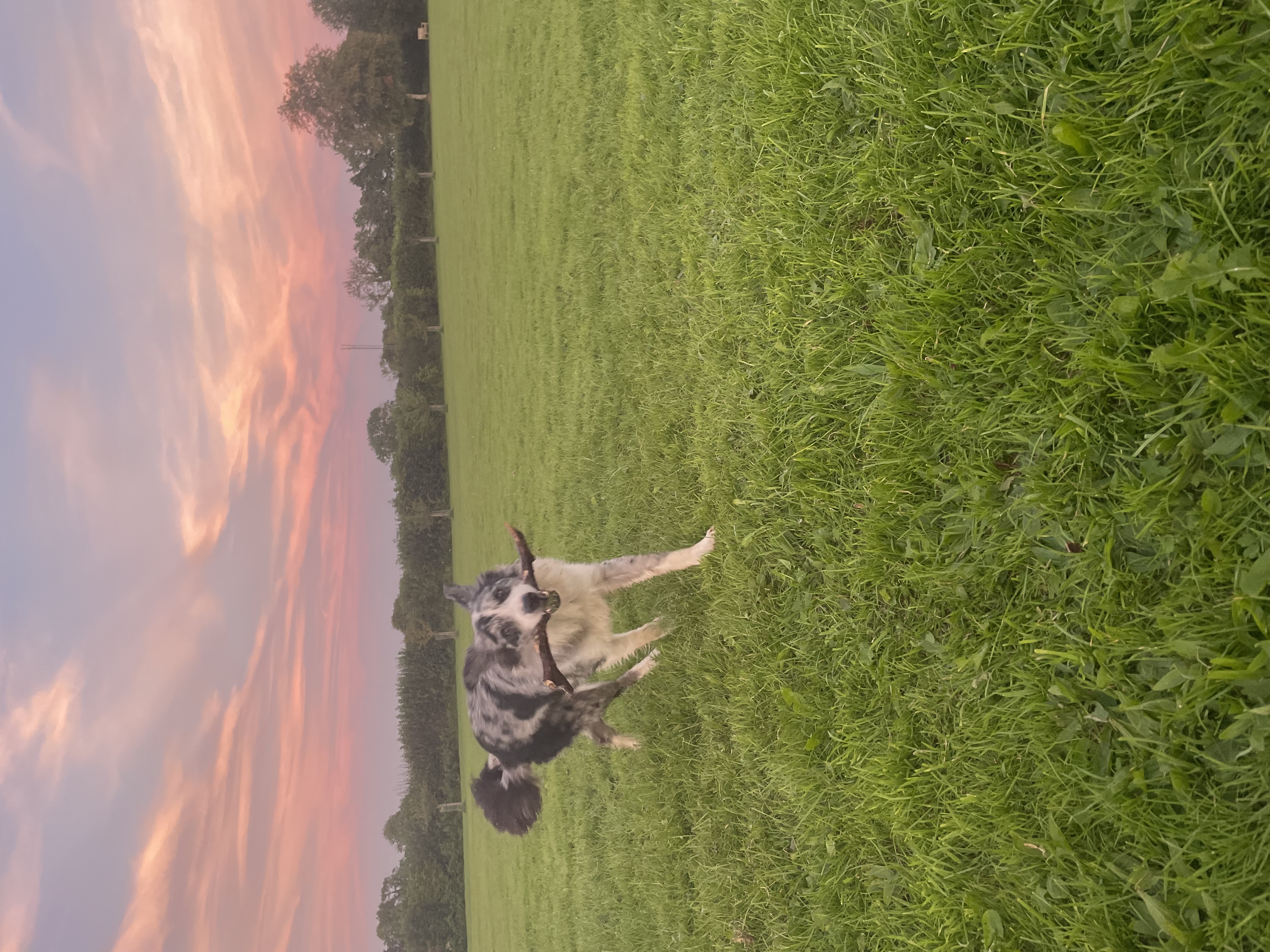 image-8