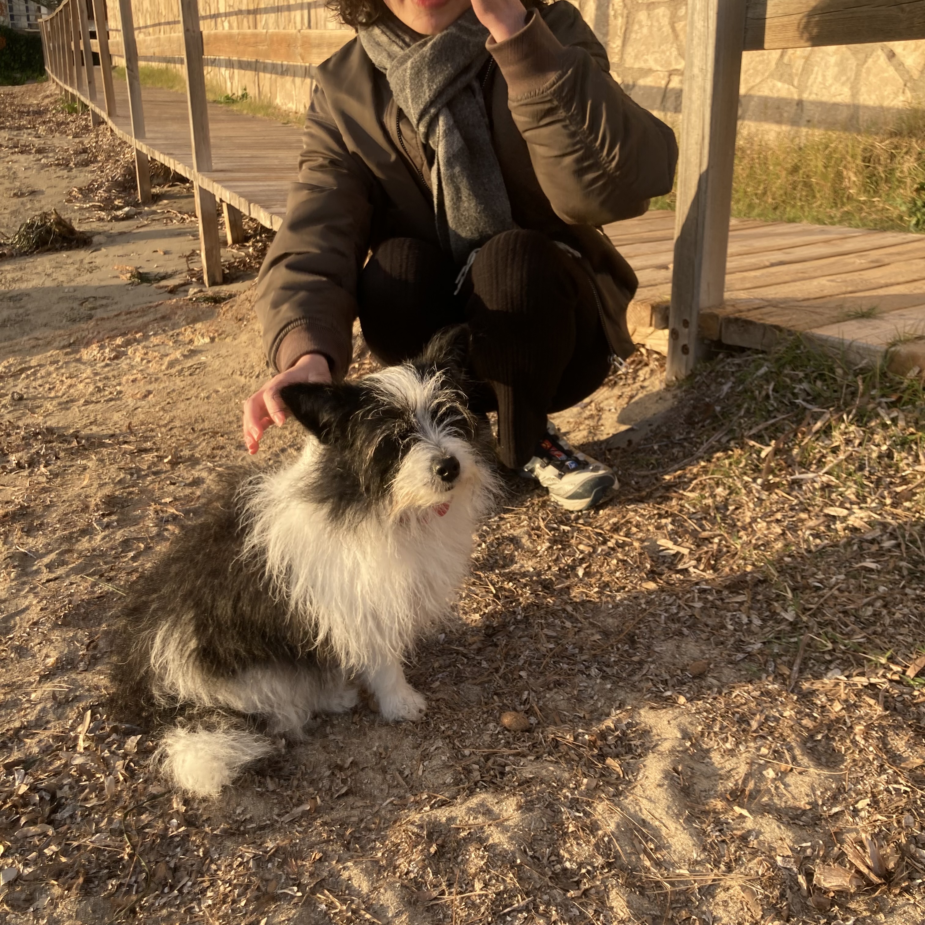 image-11