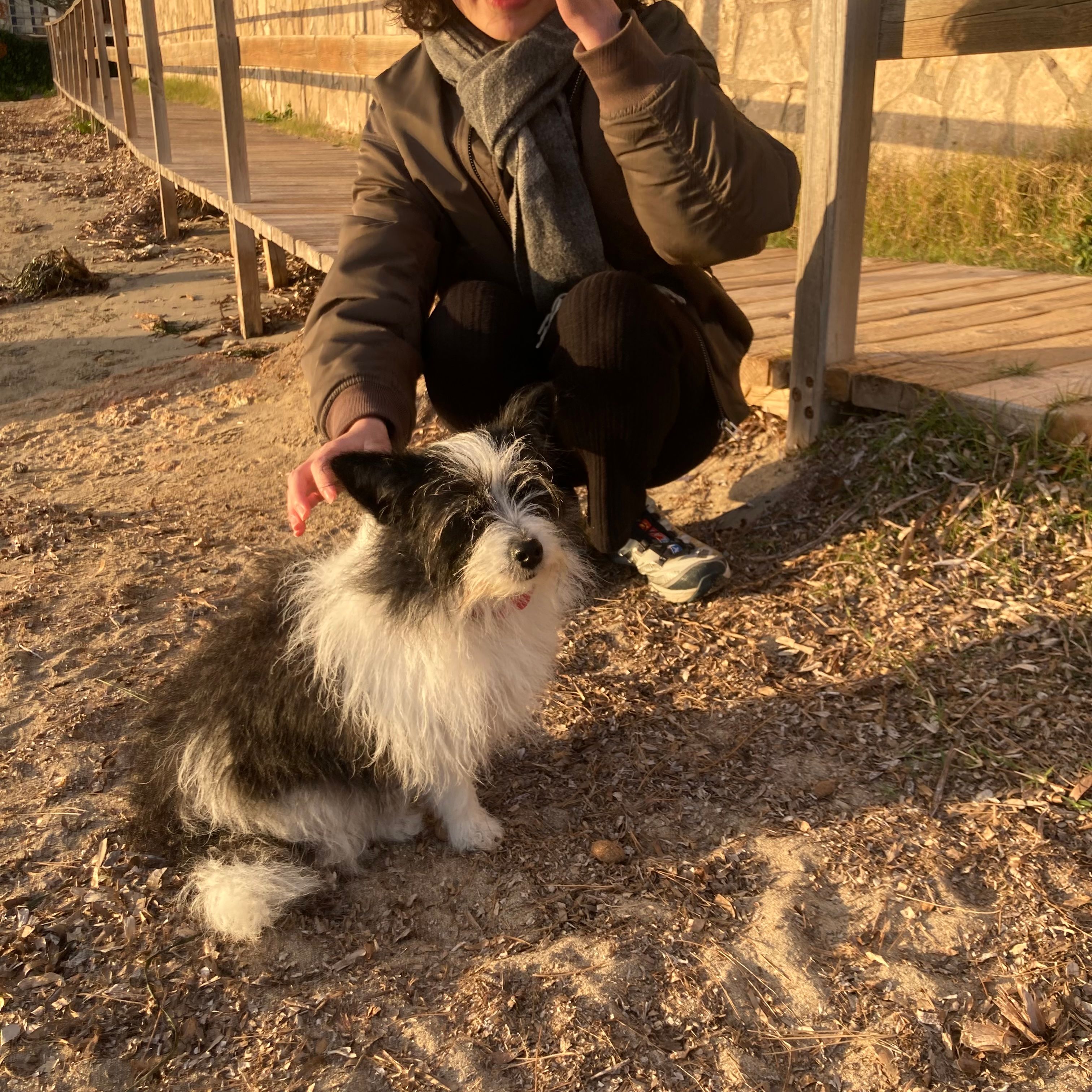 image-11