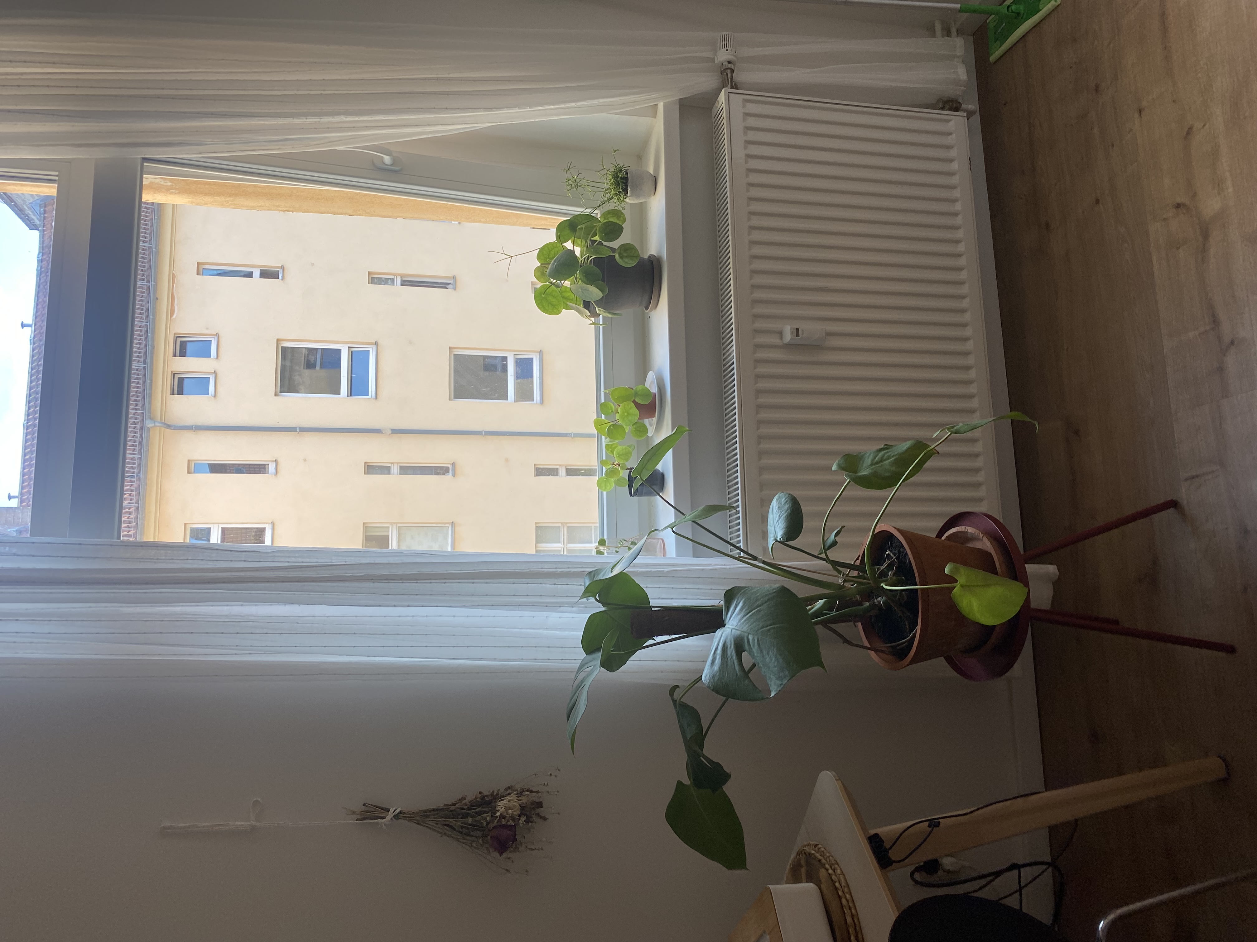 image-19