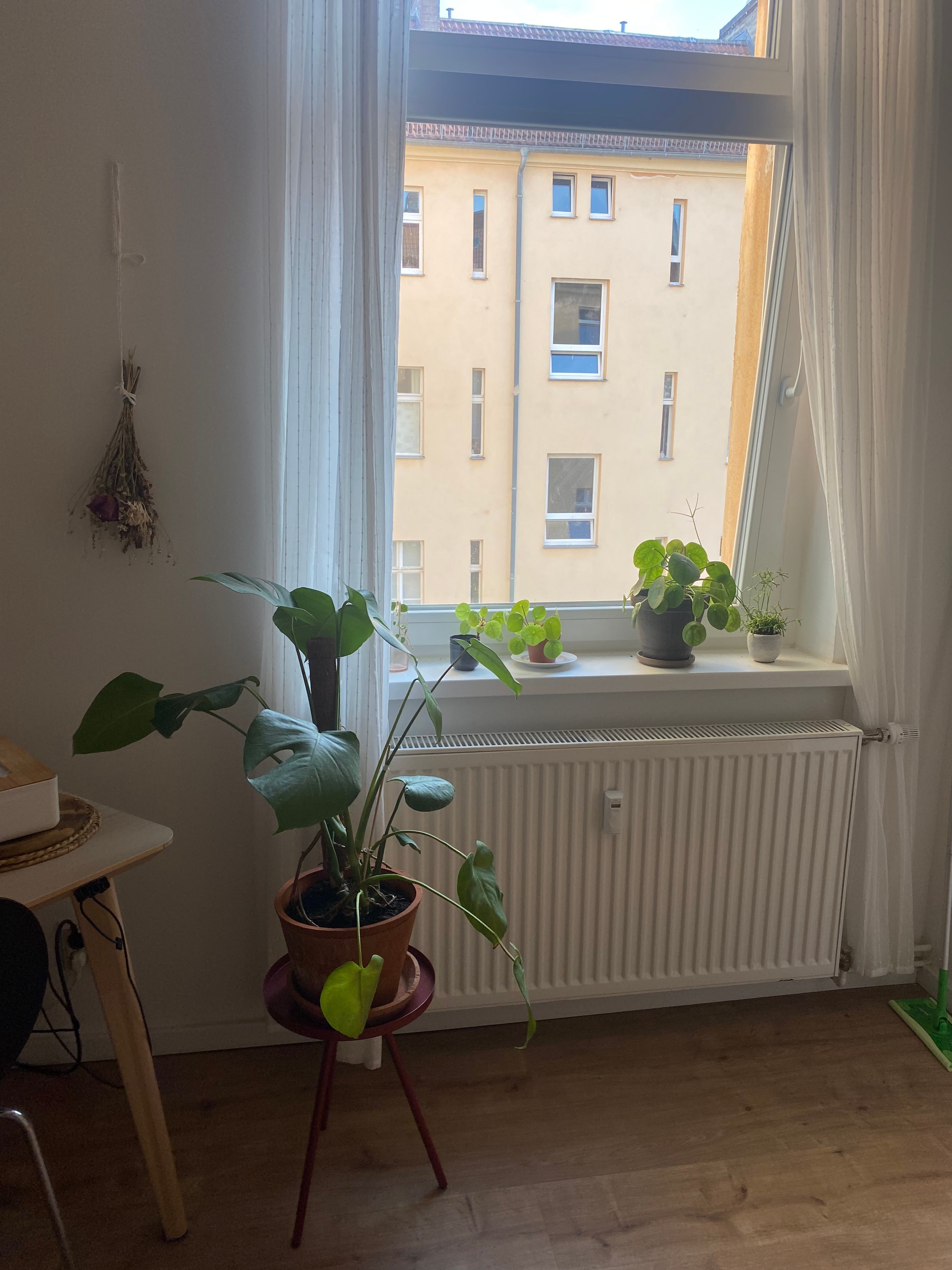 image-19