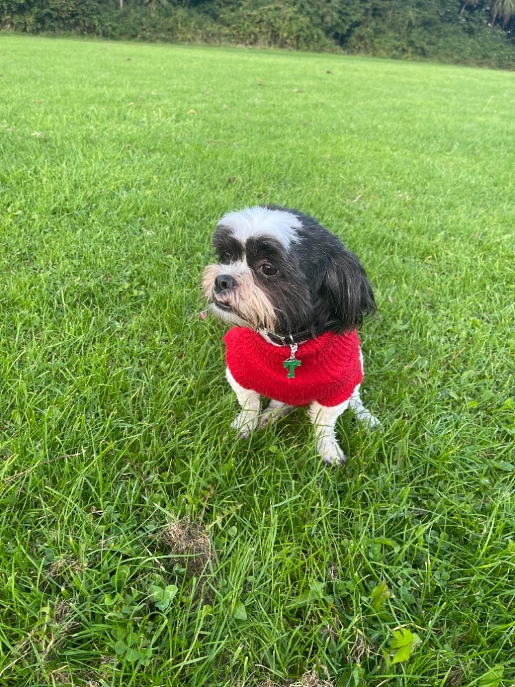 image-8