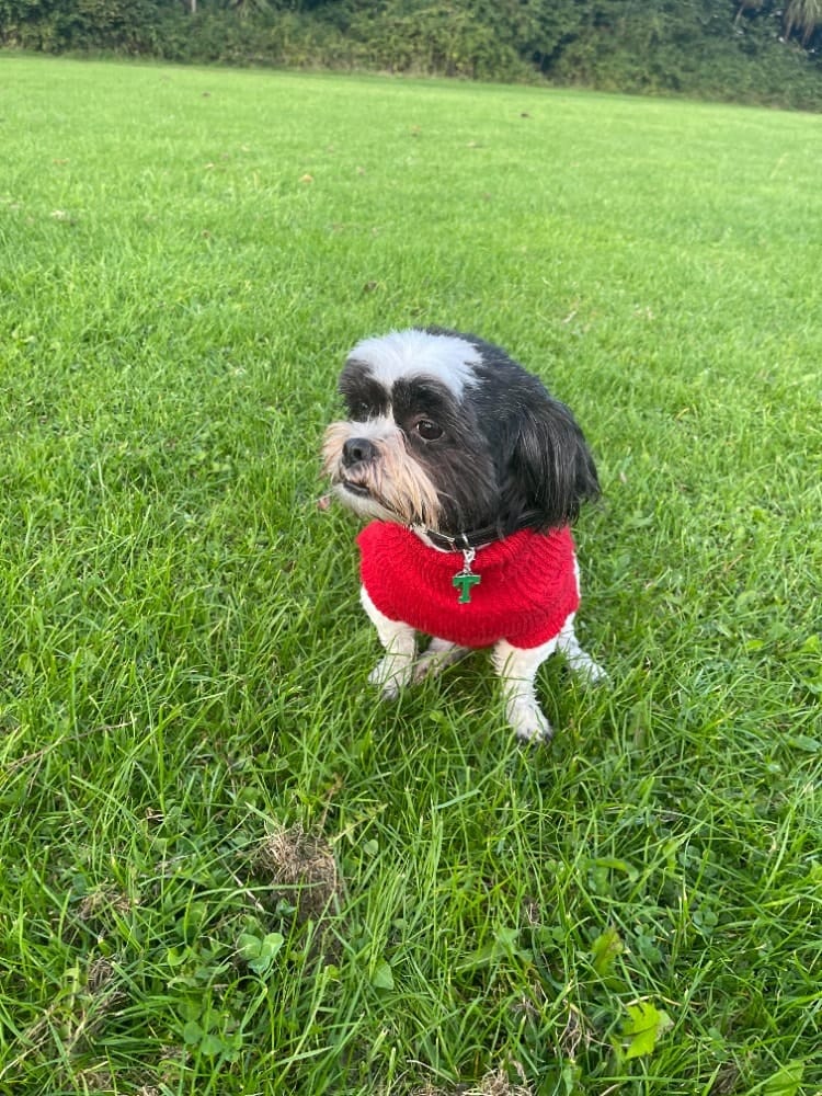 image-8