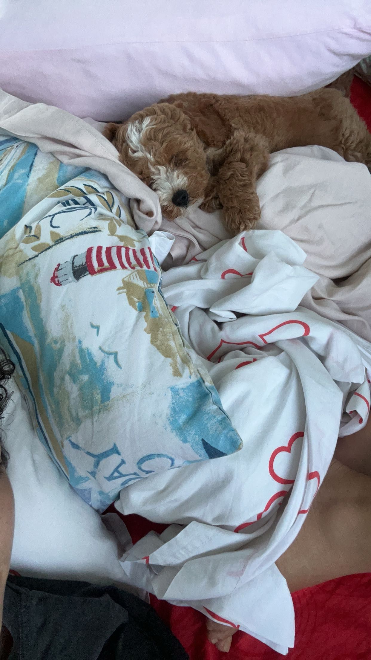 image-6