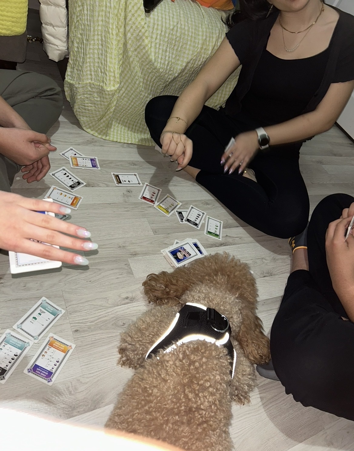 image-11