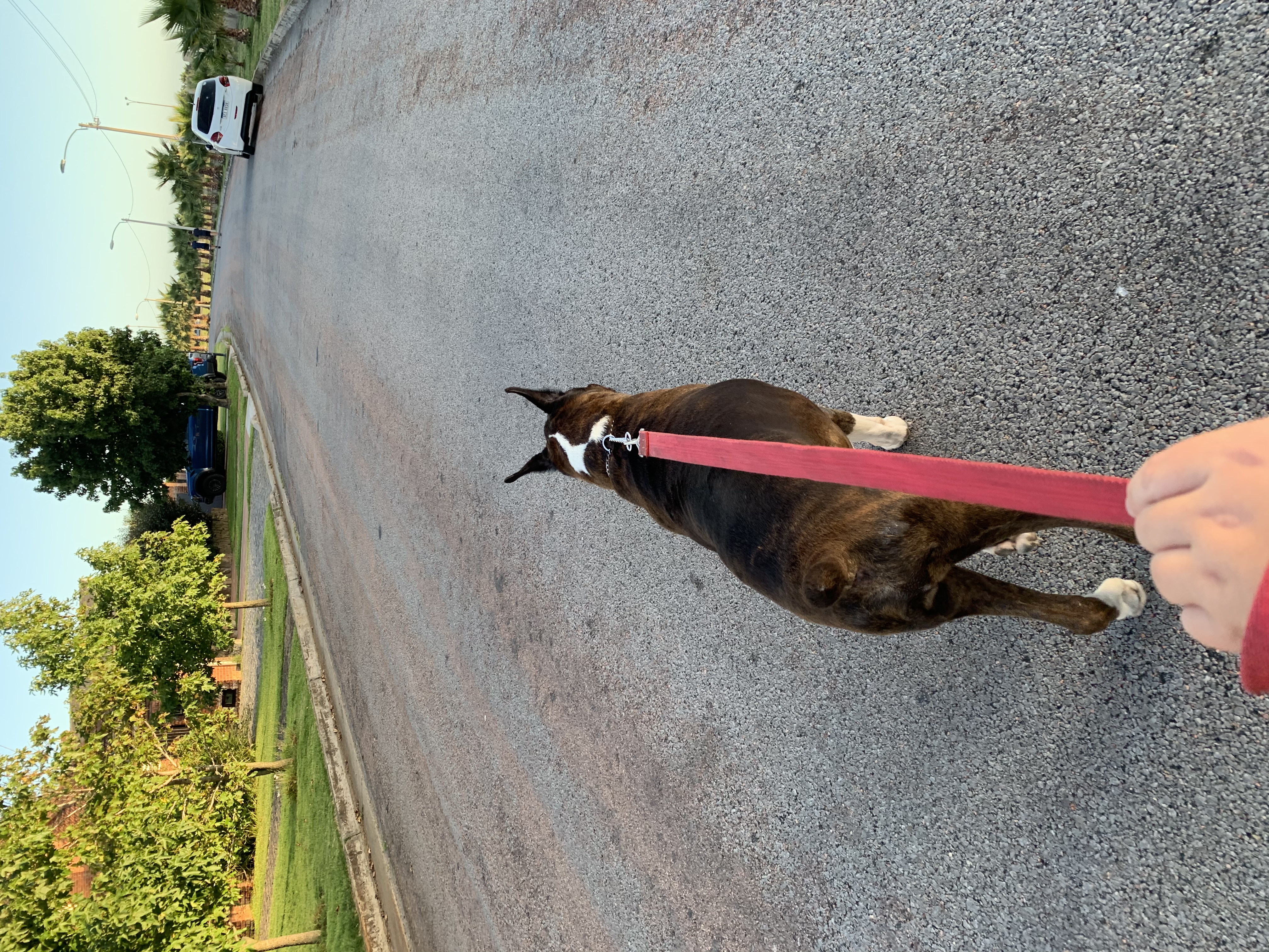 image-8
