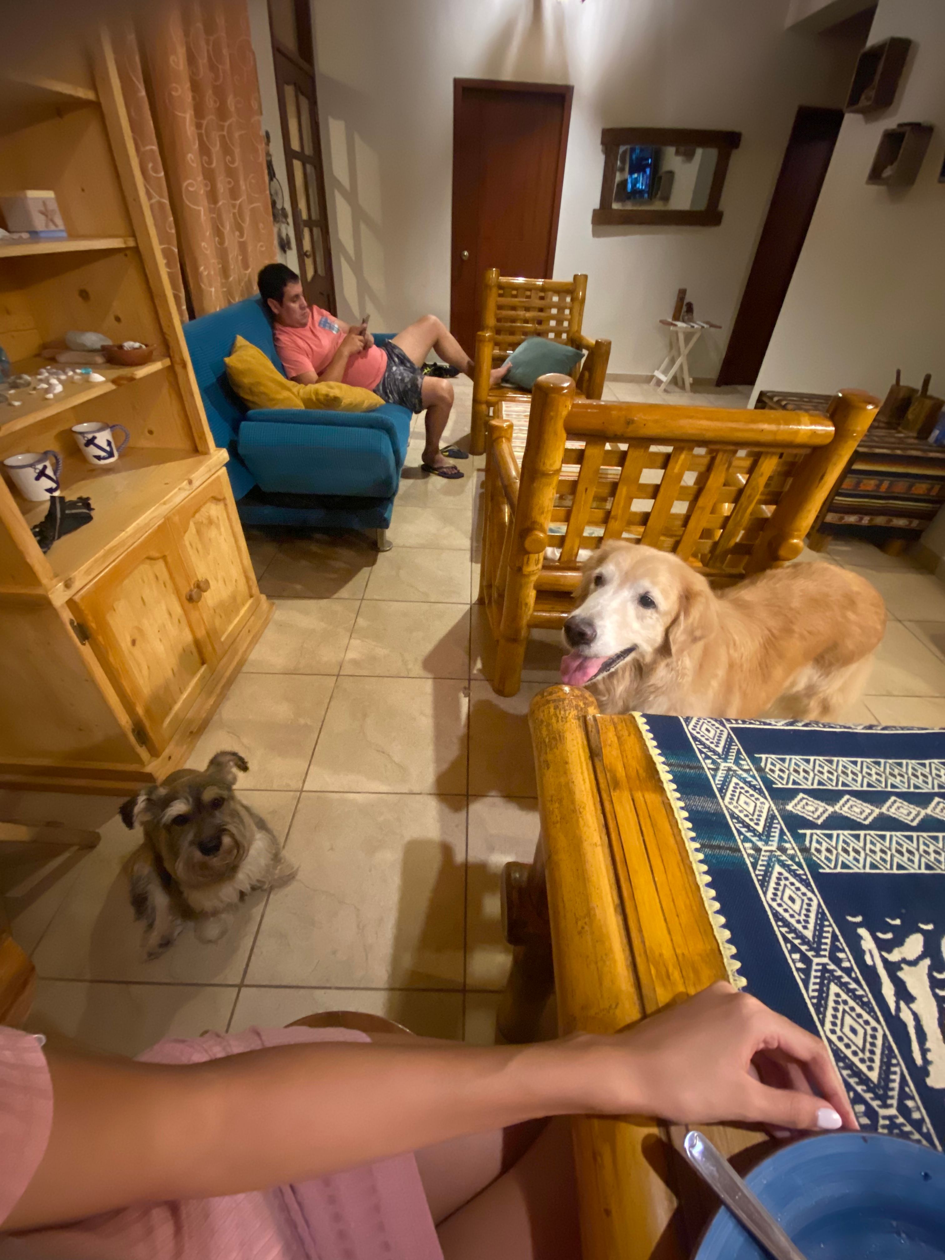 image-9