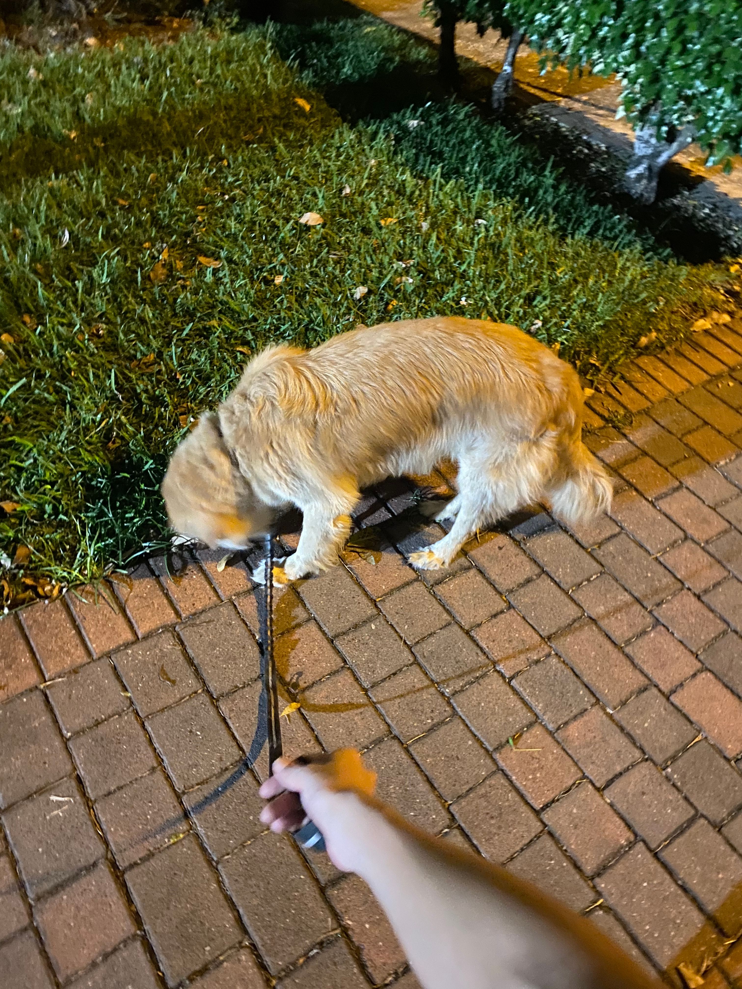 image-16