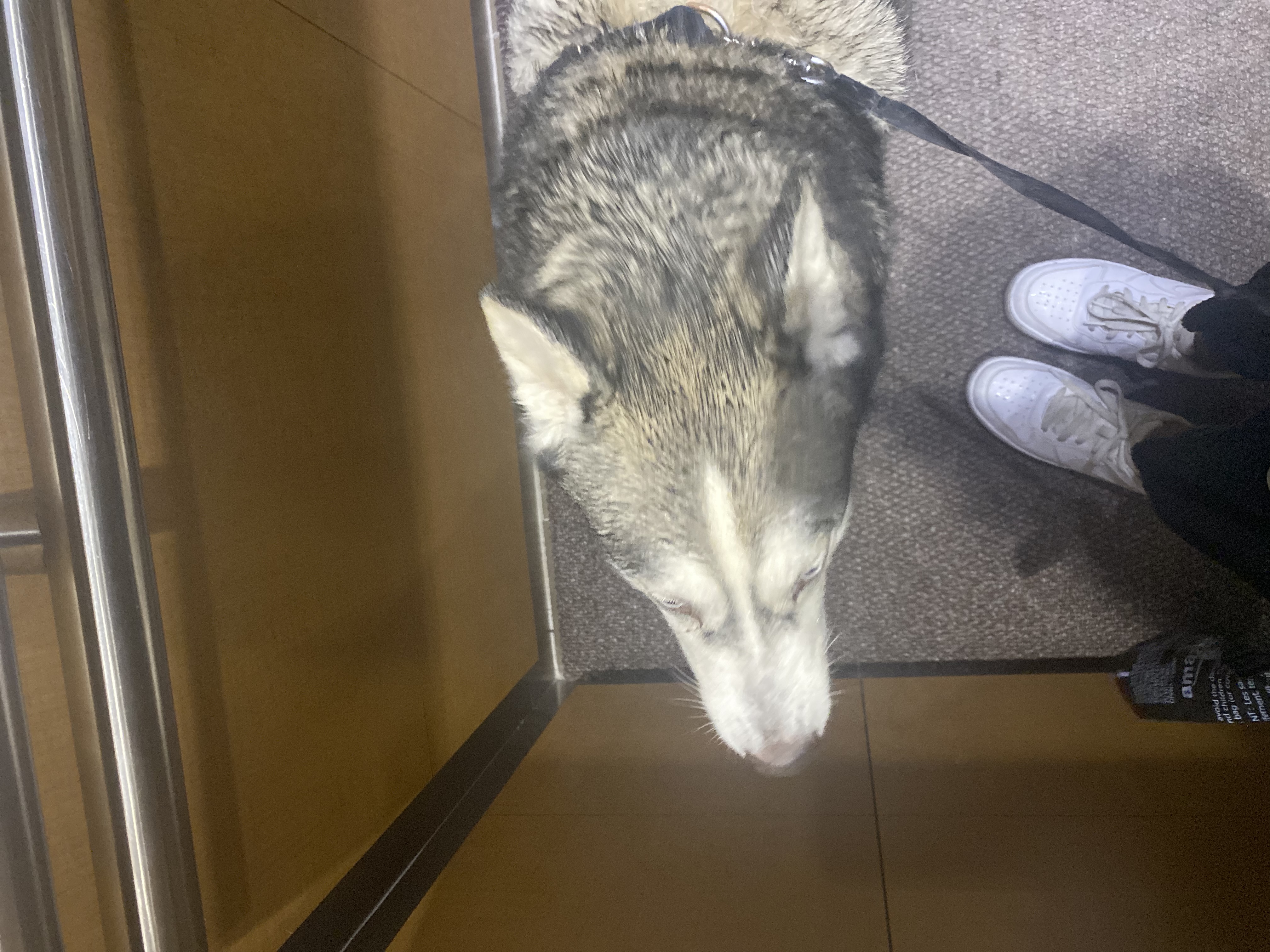 image-3