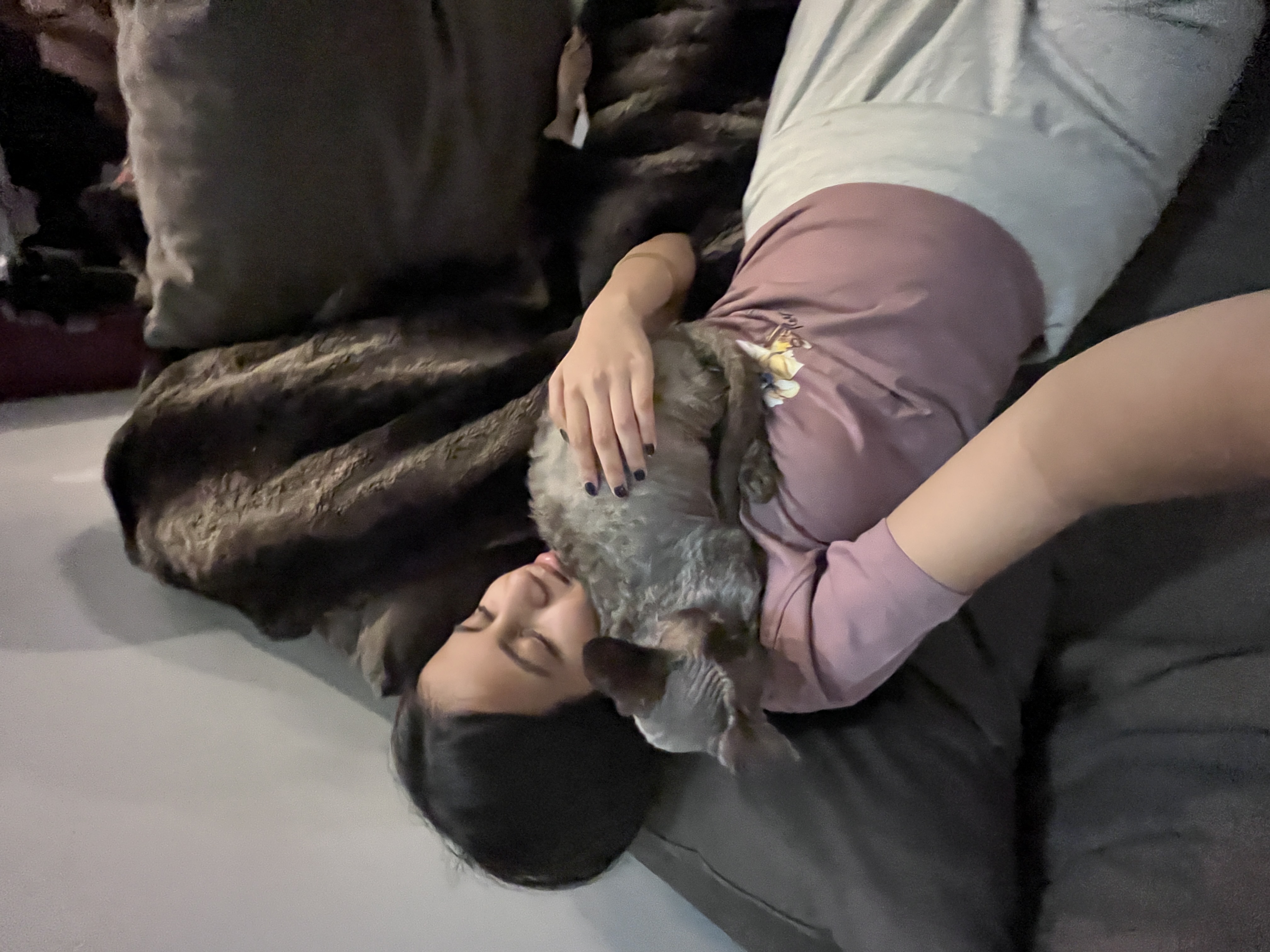 image-4