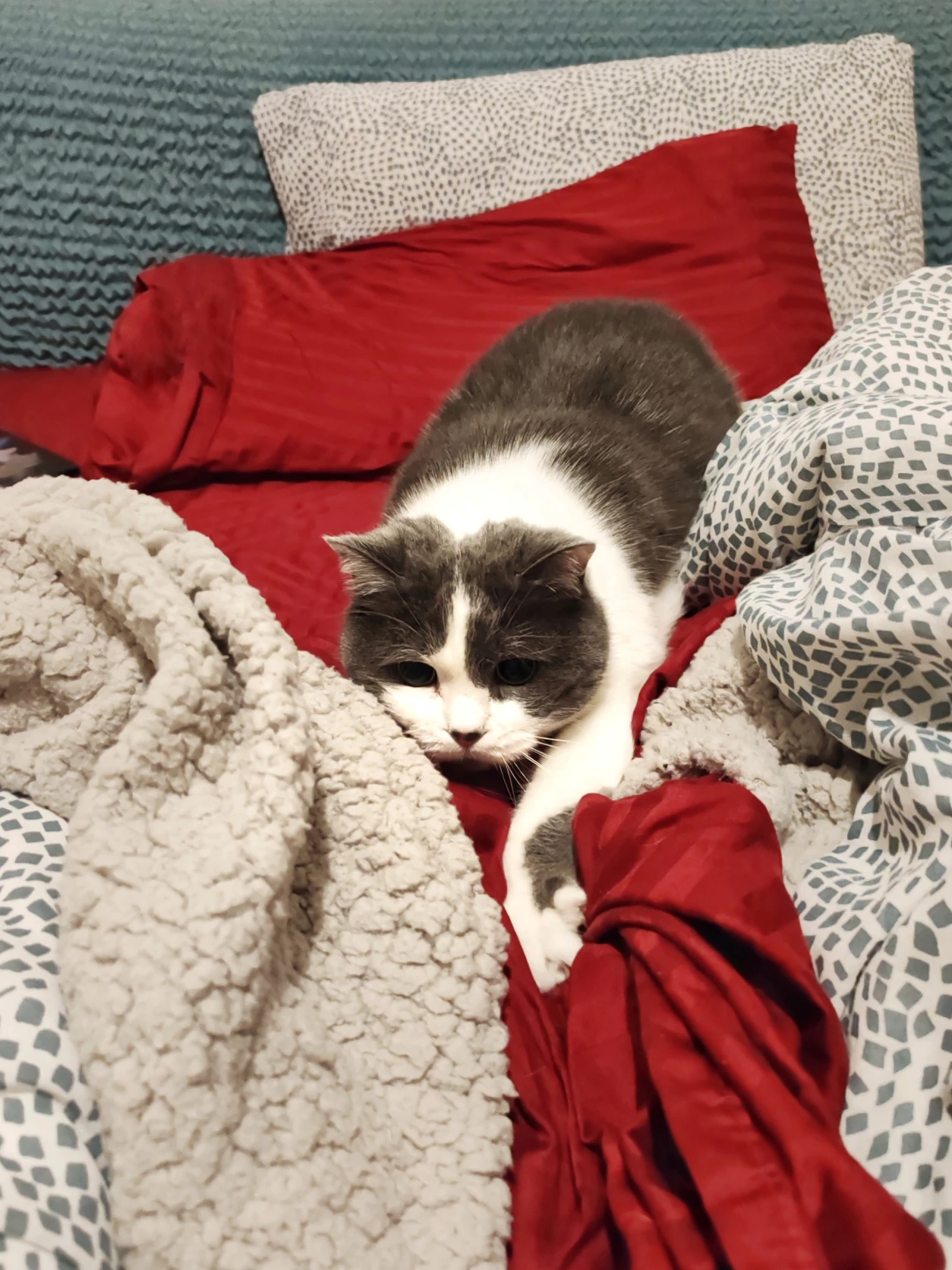 image-6