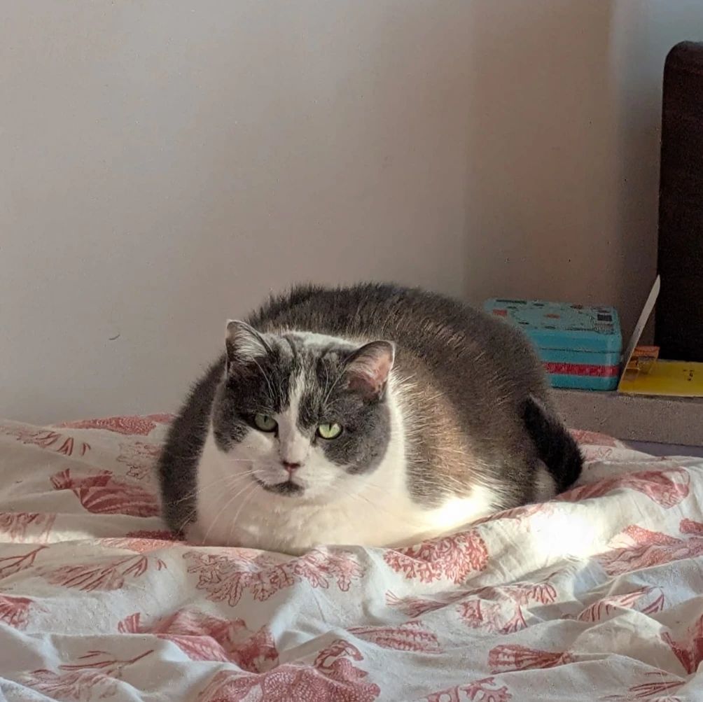 Olivia