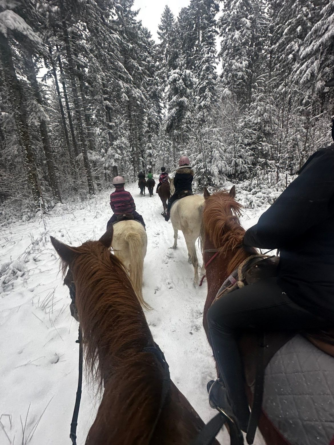 image-4