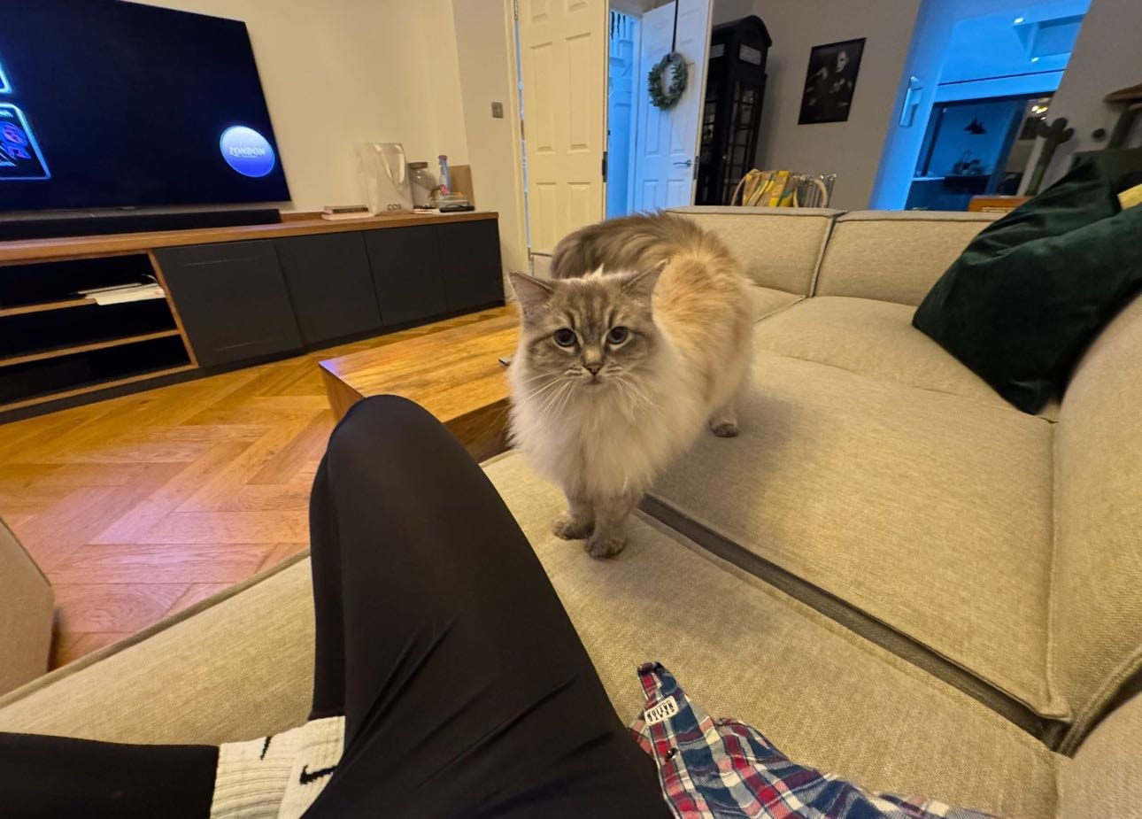 image-7